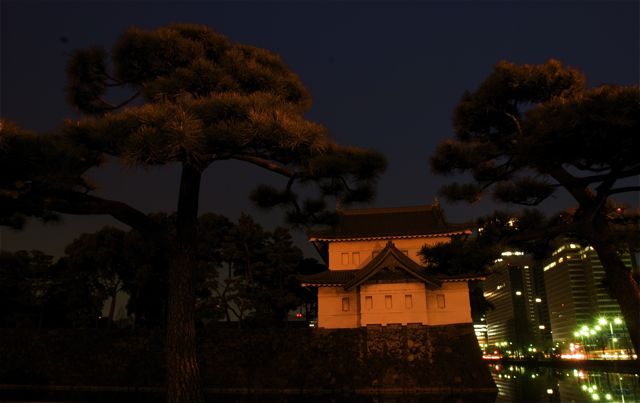 Busy Day at the Doctor’s Office