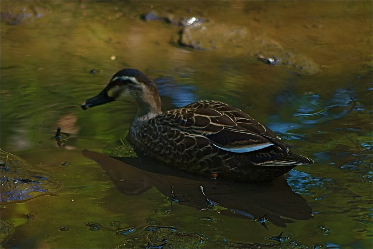 Party Begins Tonight!!