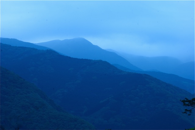 Barbara’s Questions