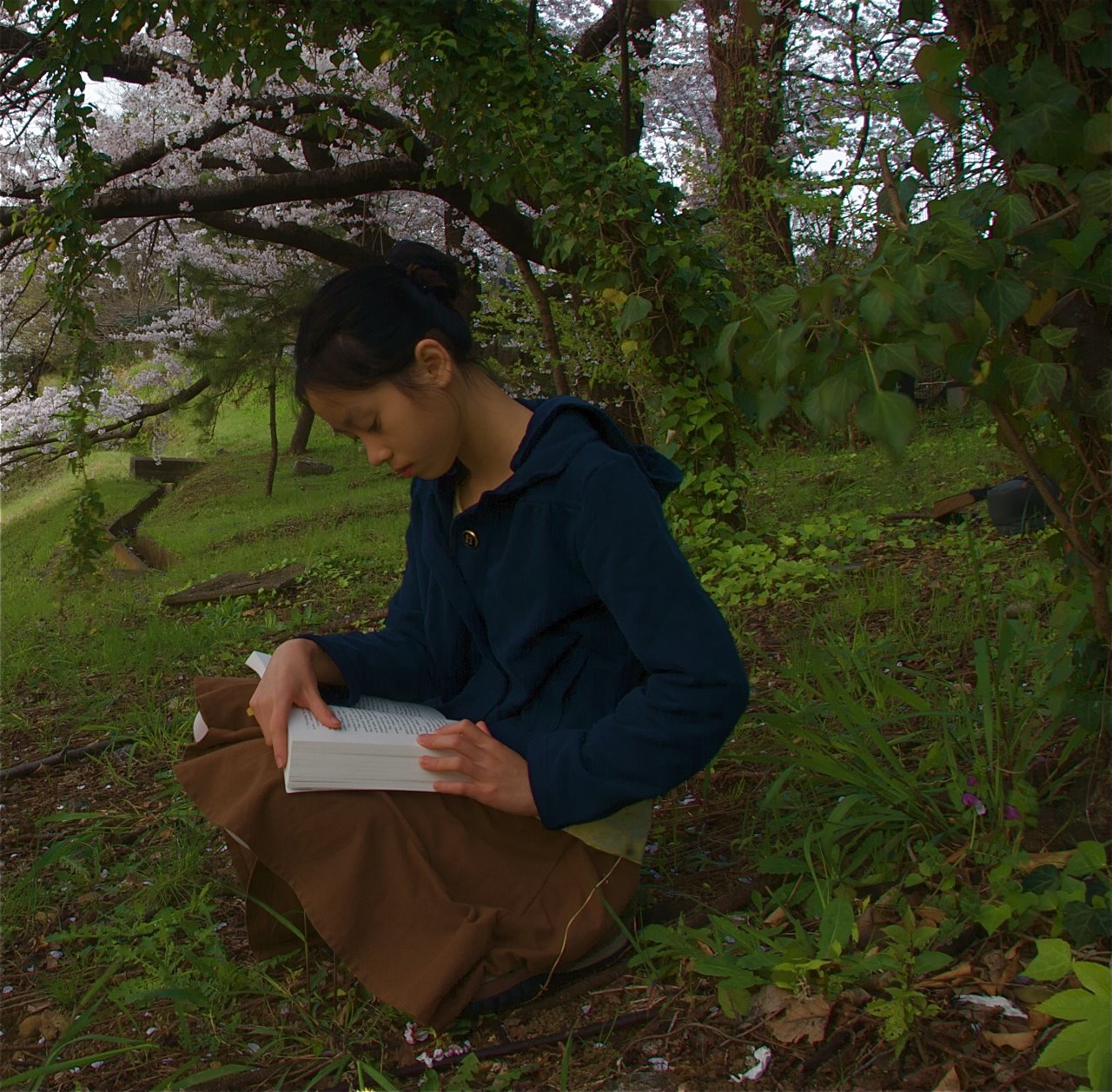 Full Weekend and One More Cherry Blossom Picture