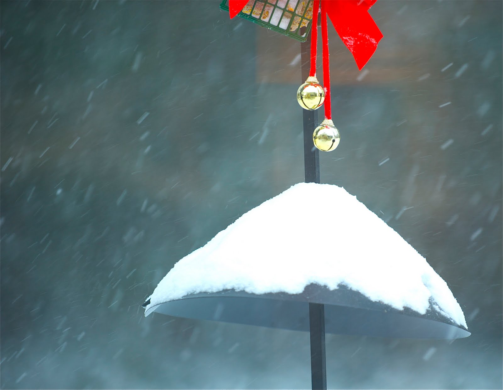 Hey It’s Snowing Outside!!!