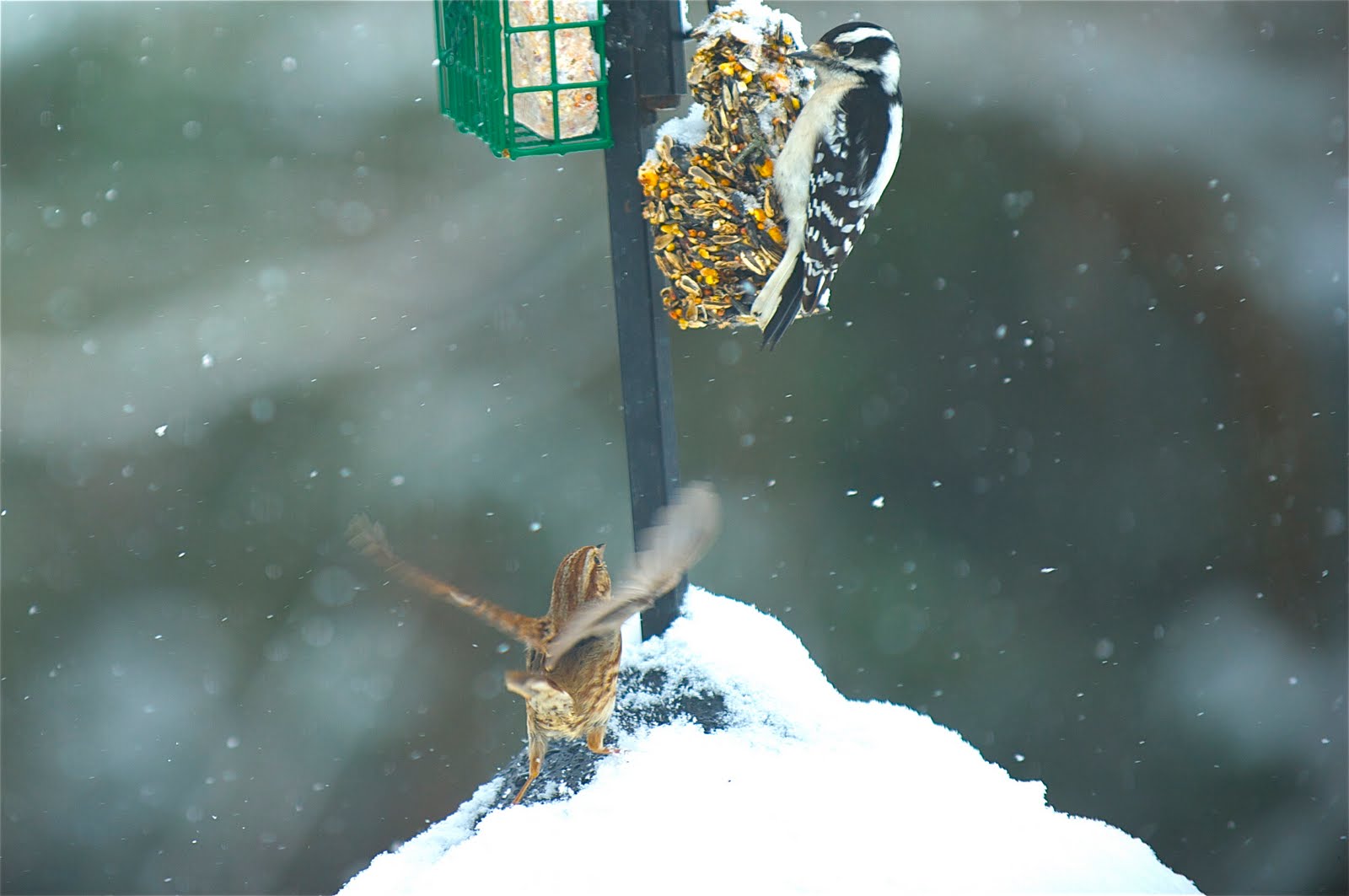 Can I Come Up? PLEASE!!!!