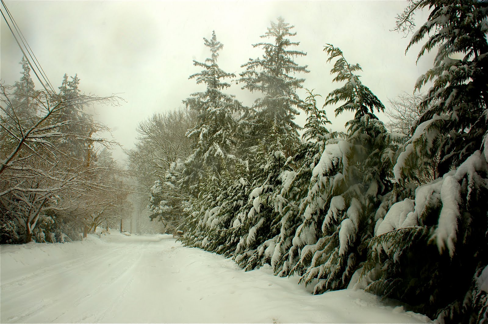 IT”S A BLIZZARD OUT THERE