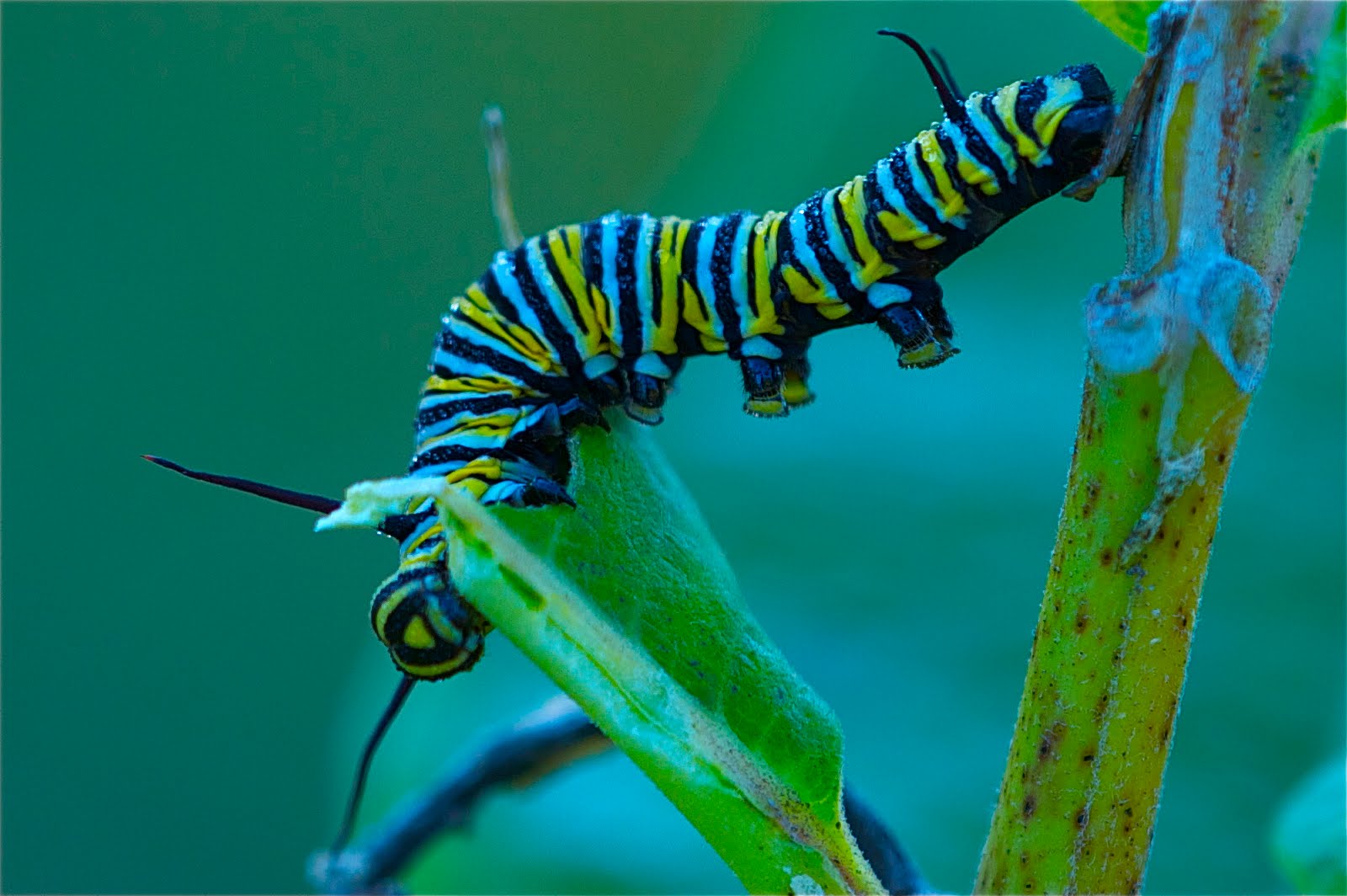 Look at Those Little Feet