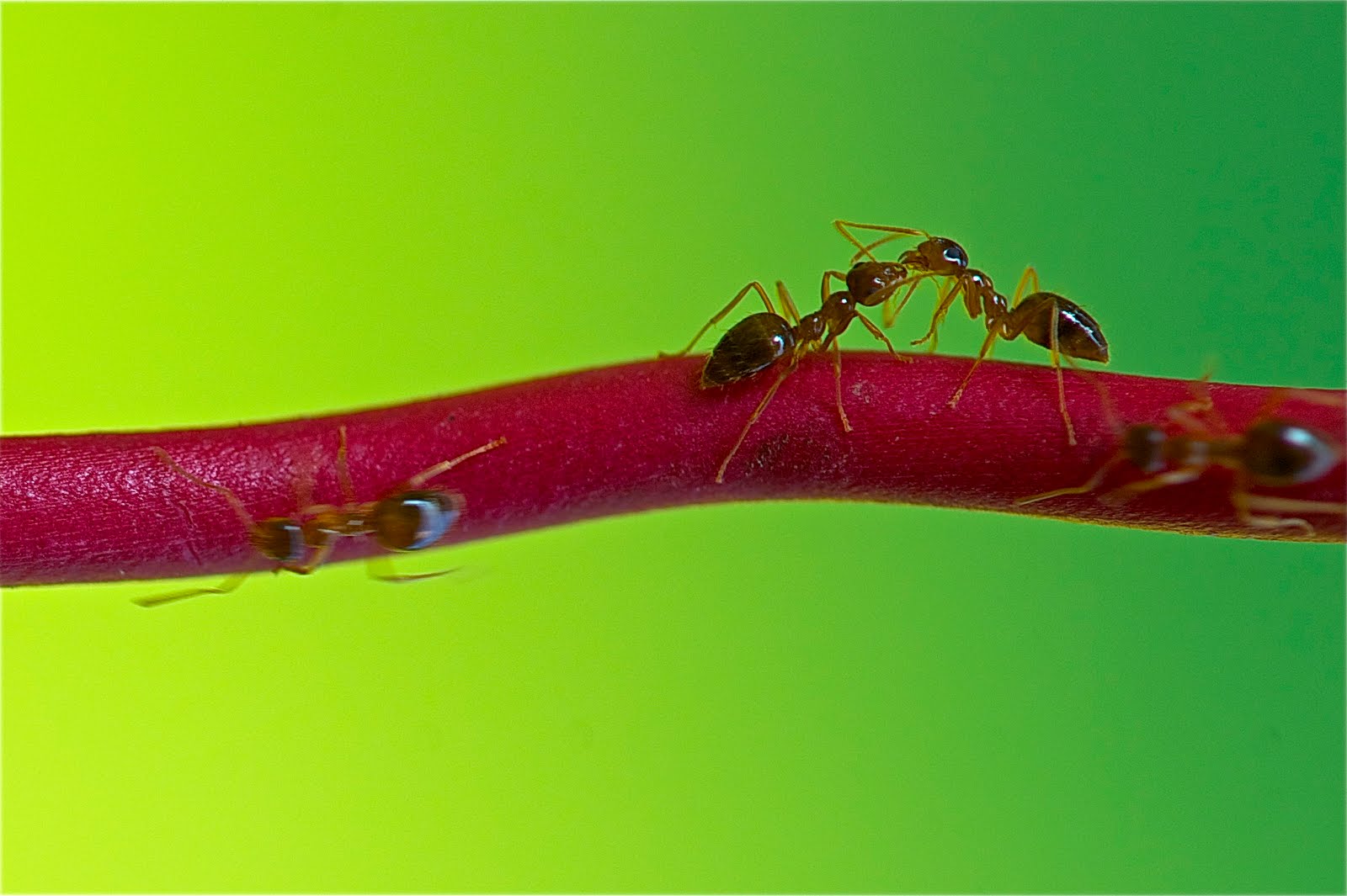 Love on a Busy Highway