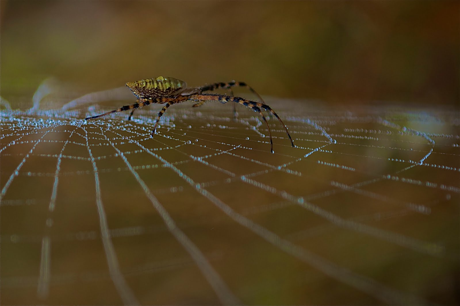 Finalist in September’s Contest