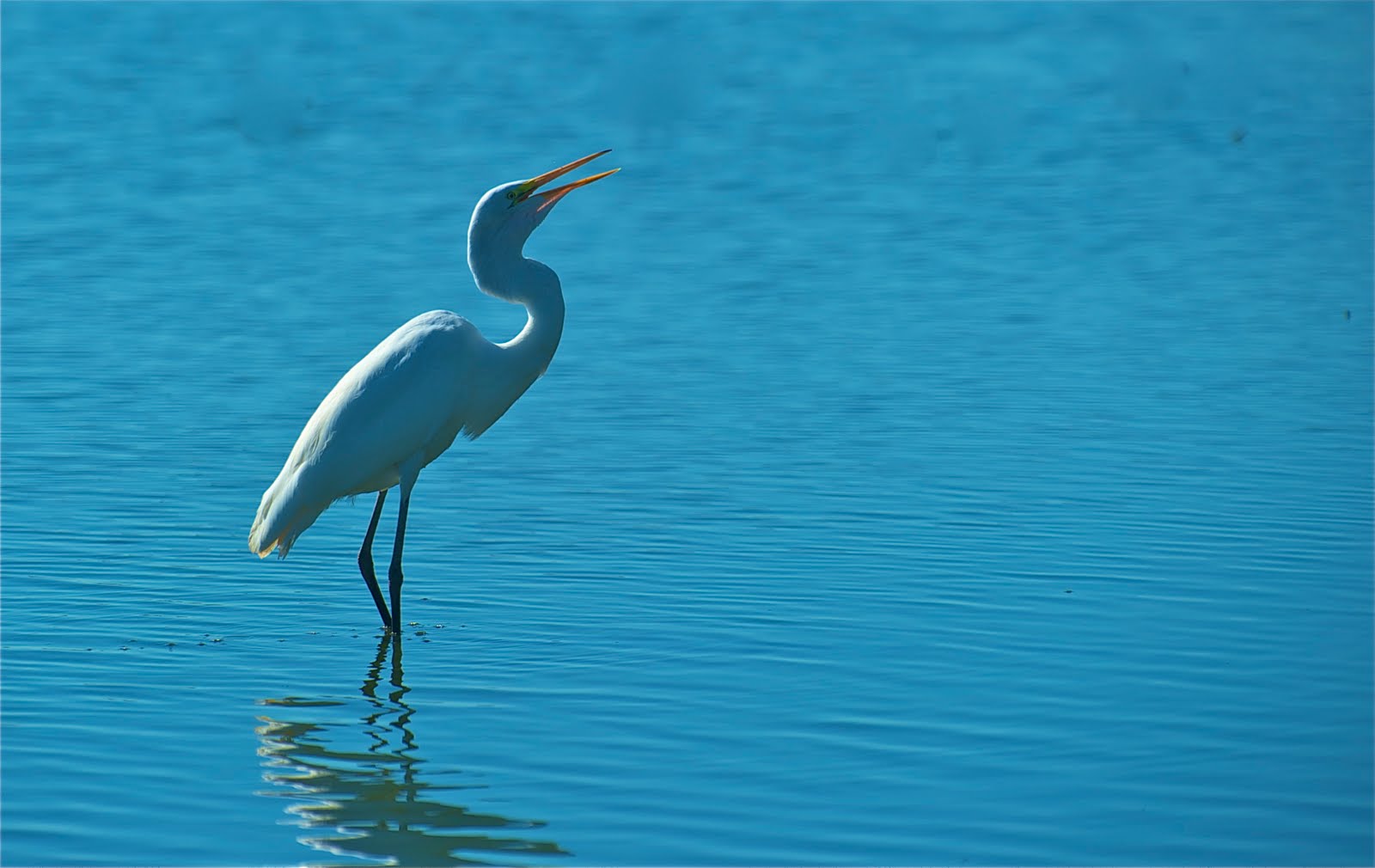 Singing My Favorite Song