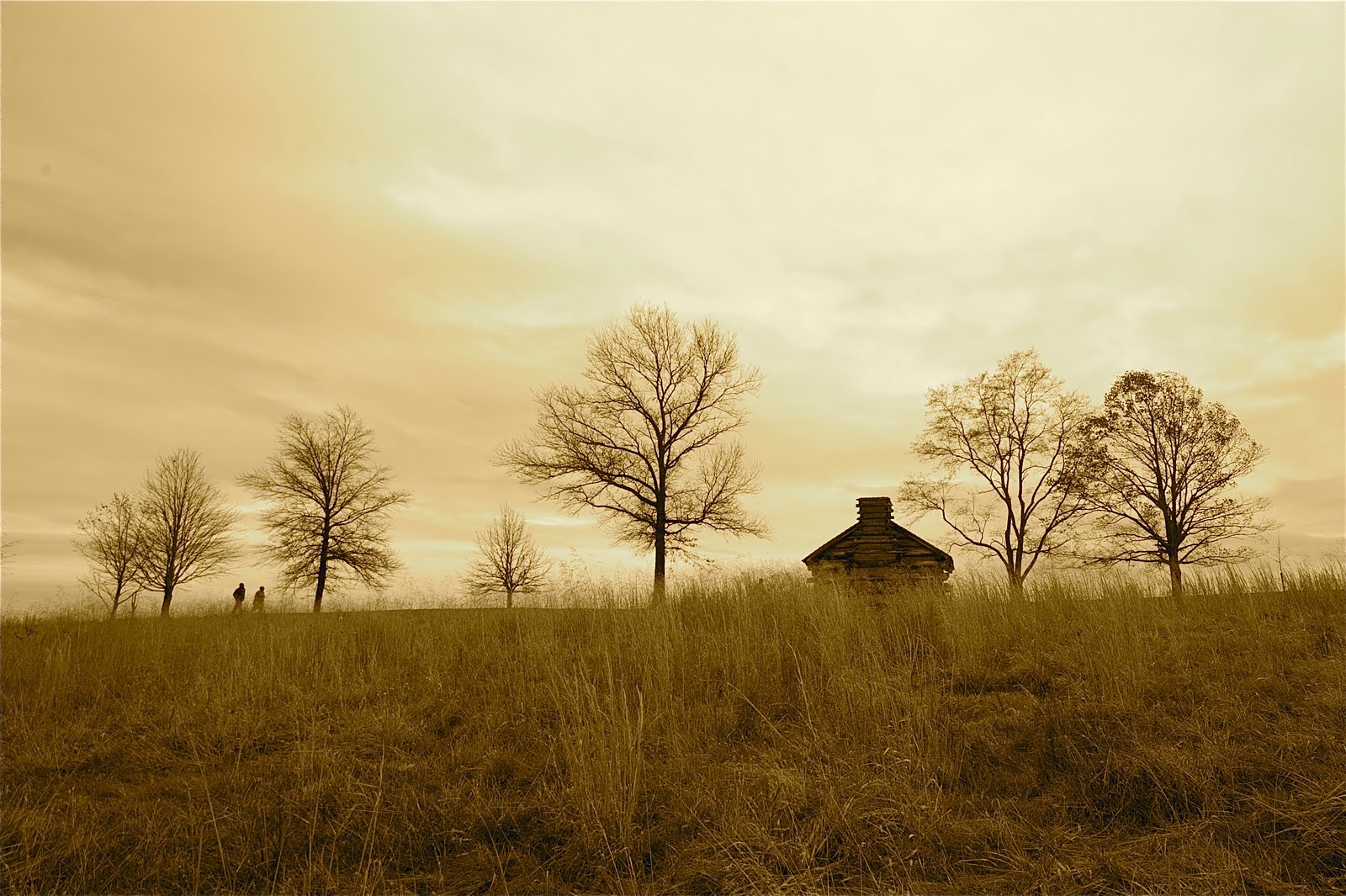Walking the Path at Valley Forge