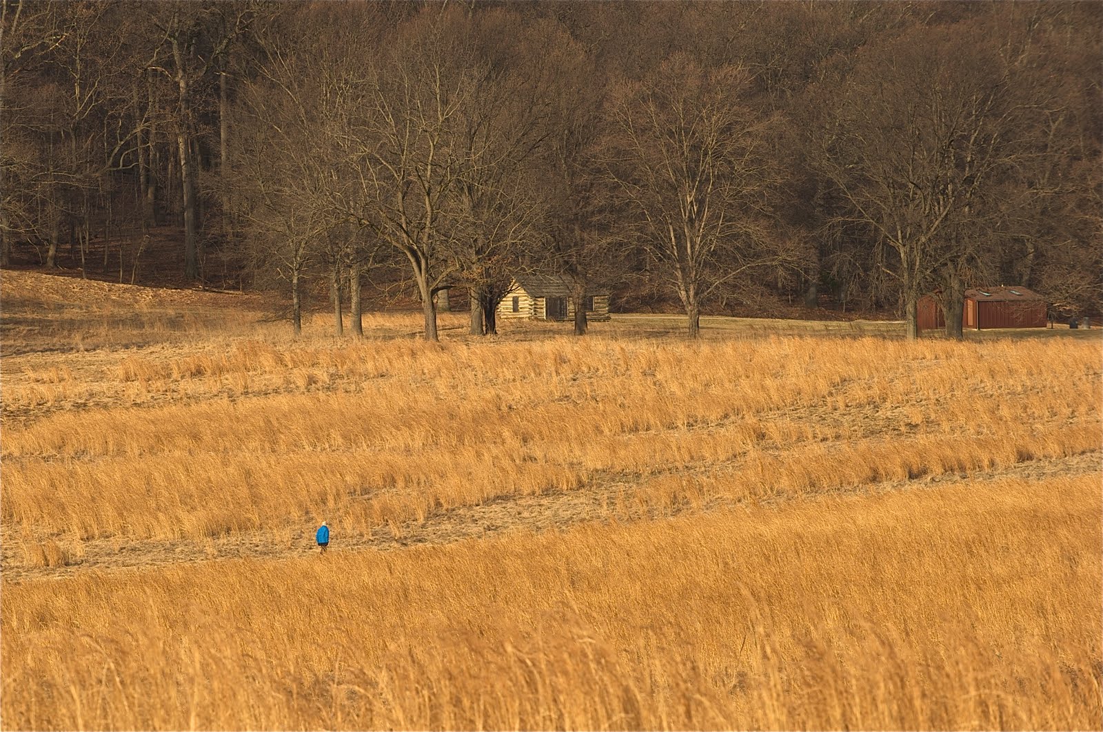 Another Finalist – A Walk in the Field at Valley Forge – Click Photo for A Good View