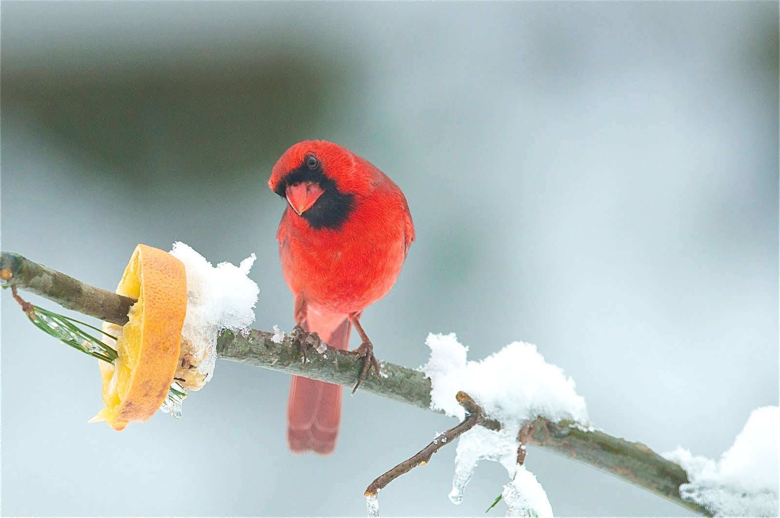 Hey, Is This a Trick???