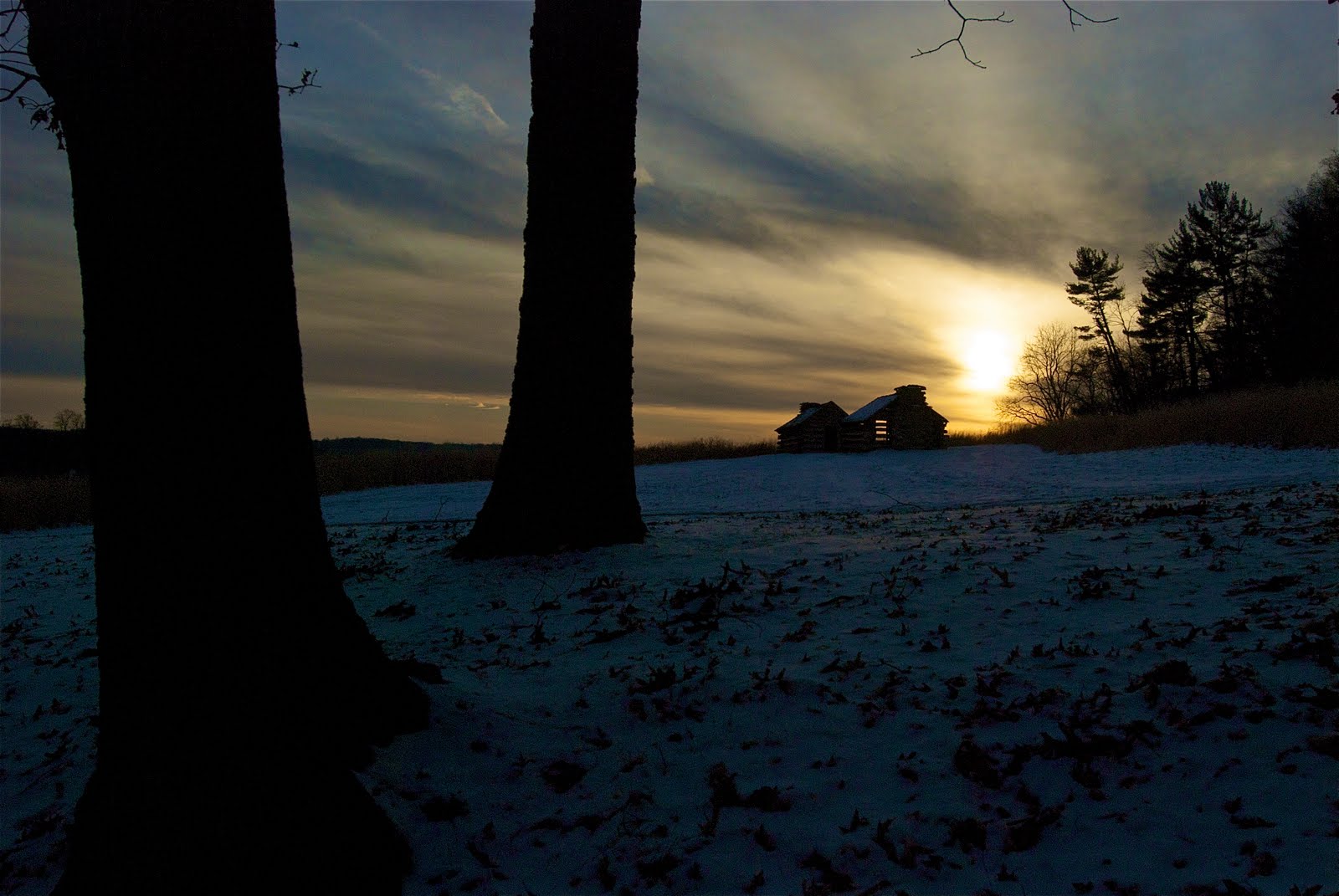 Light’s On in the Cabin