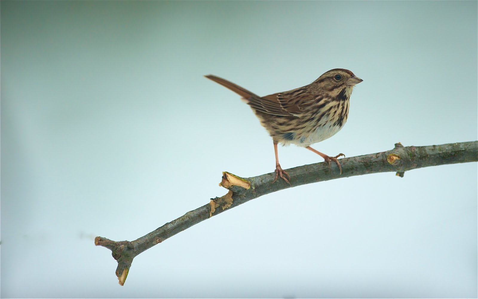 O.K. Now Don’t Tell Anybody This – It’s Really Cheating