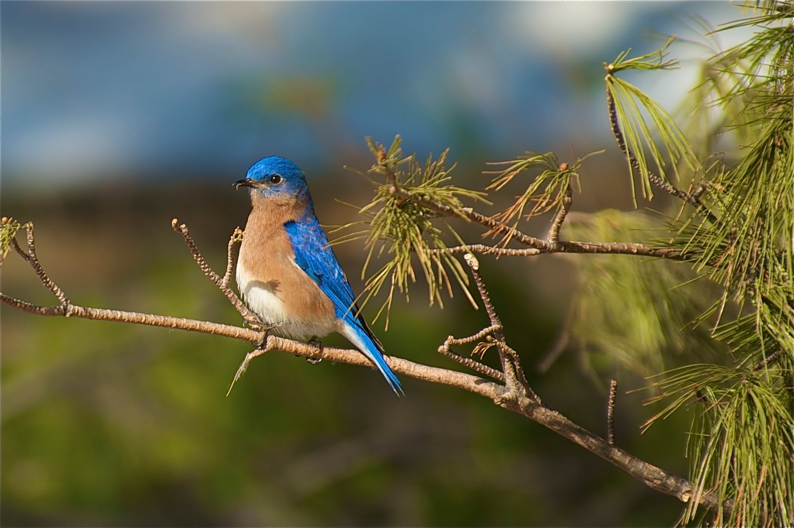 Camera’s in the Shop