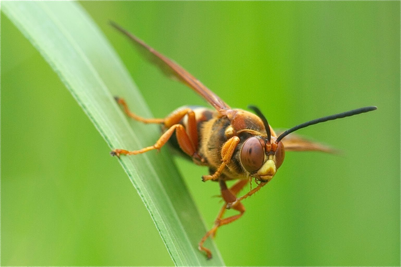 Two Finalists This Month – Wu Huuuuu!!