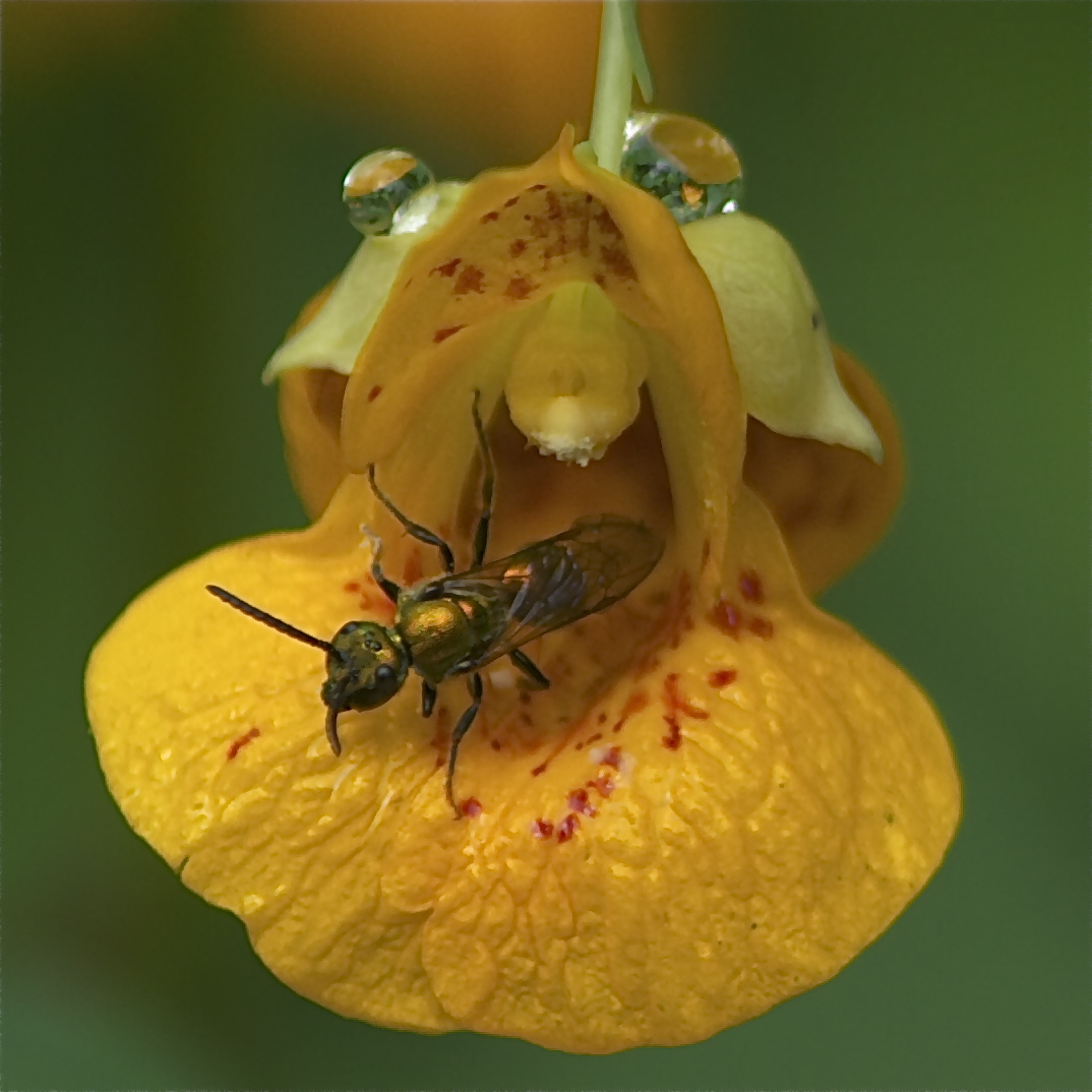 All the World’s a Stage