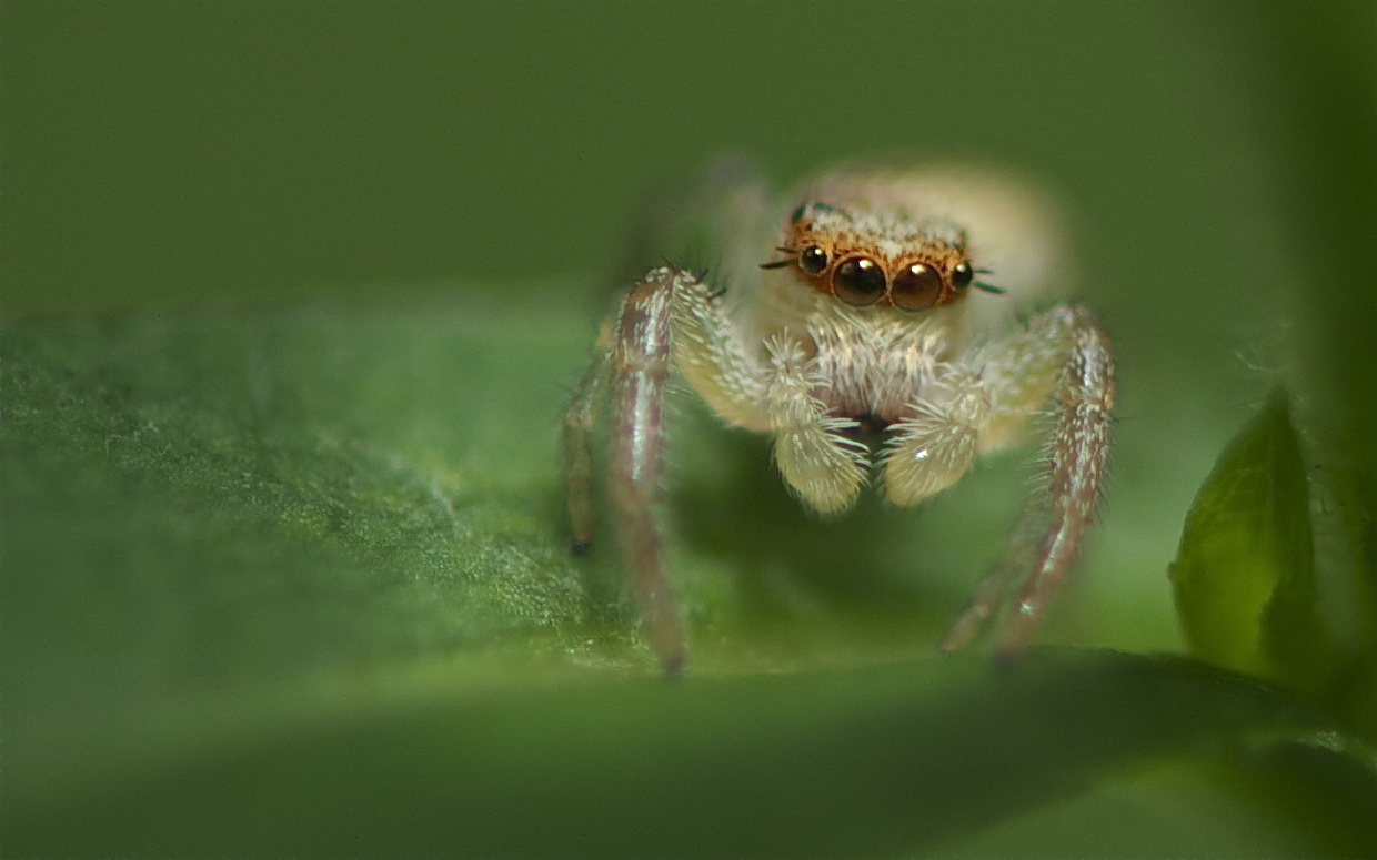 Who Couldn’t Love a Face Like This? (Click to See Those Sunglasses)