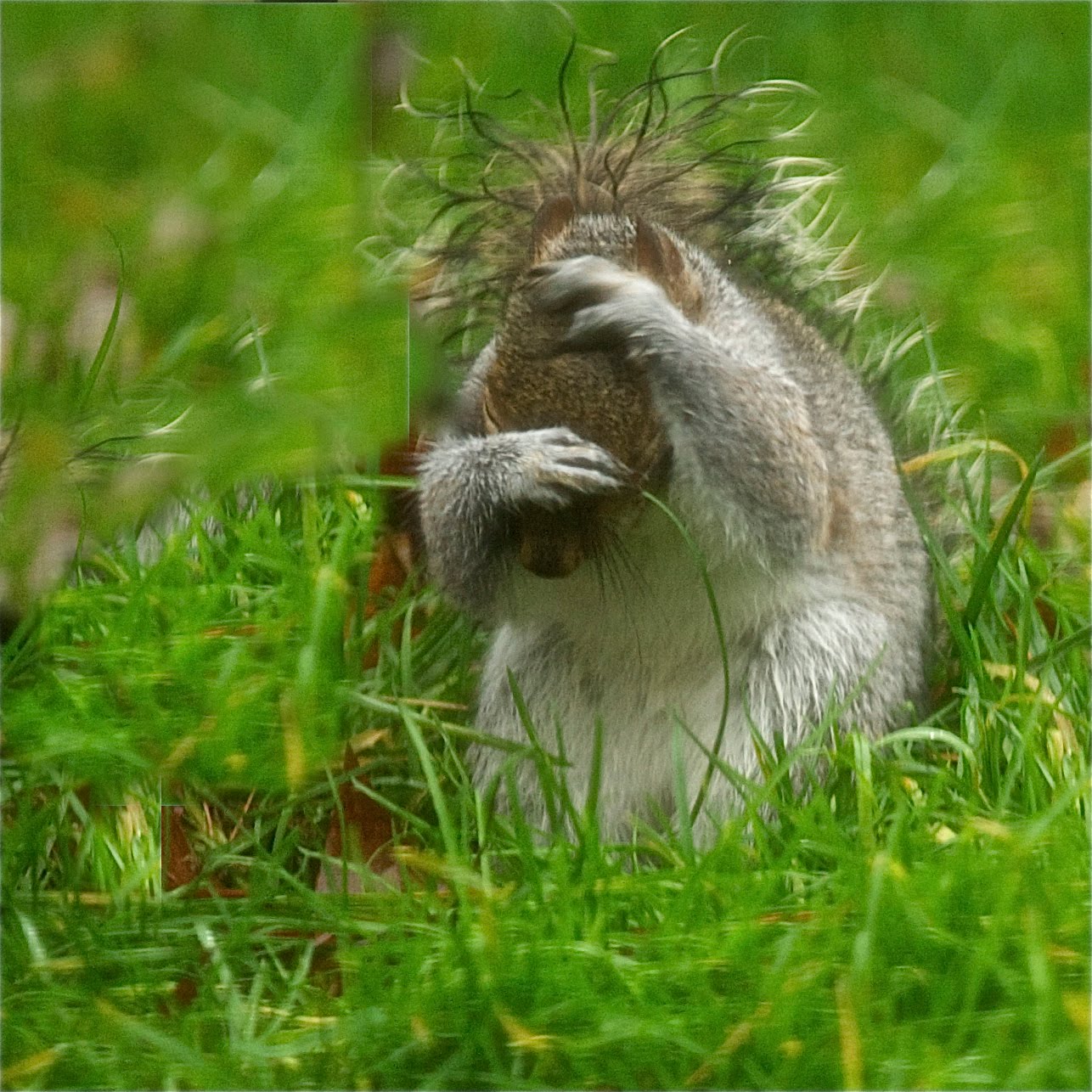Oh Please Don’t Look at My Hair – It’s Been Such an Awful Day