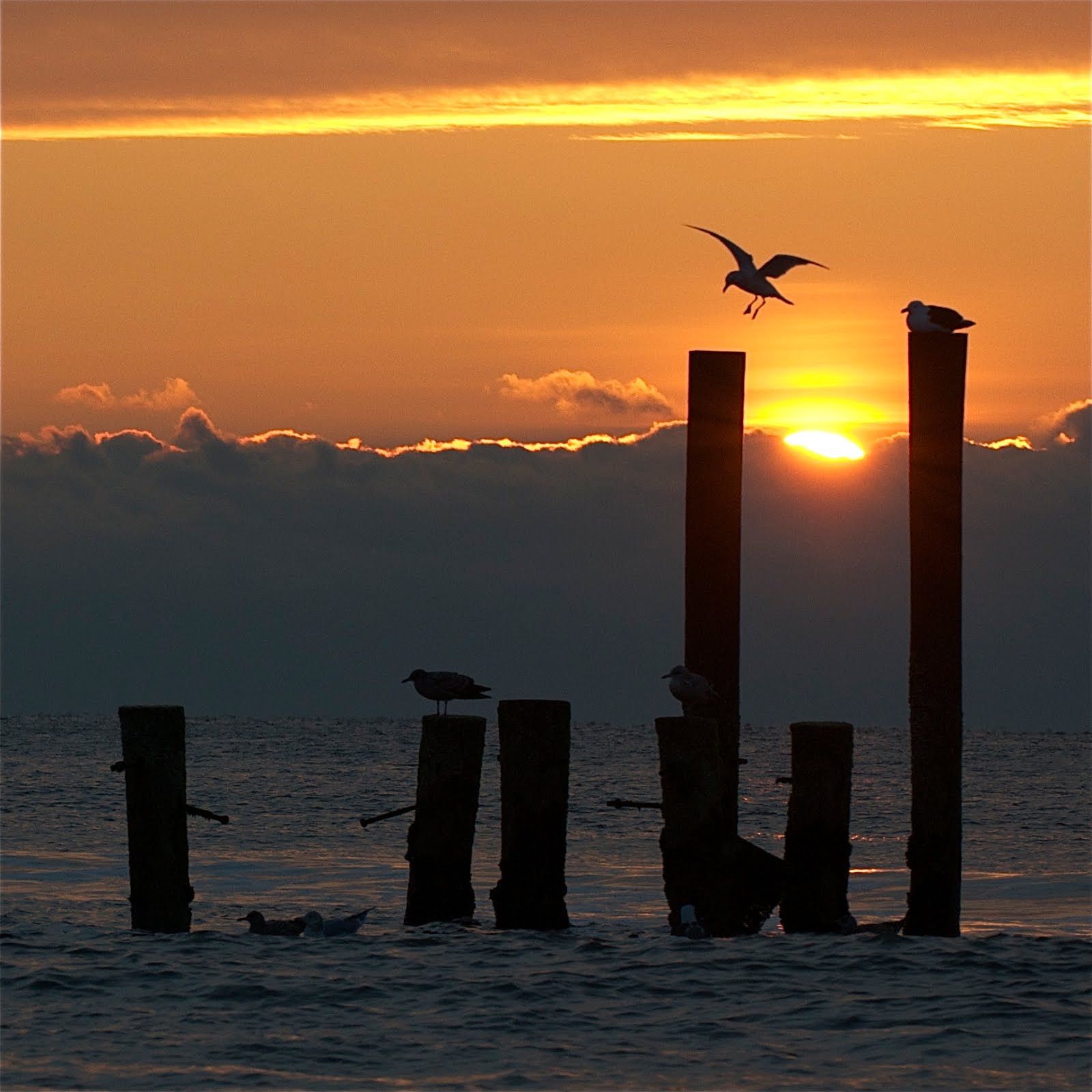 Sunrise in Atlantic City Gets Finalist in January Contest!
