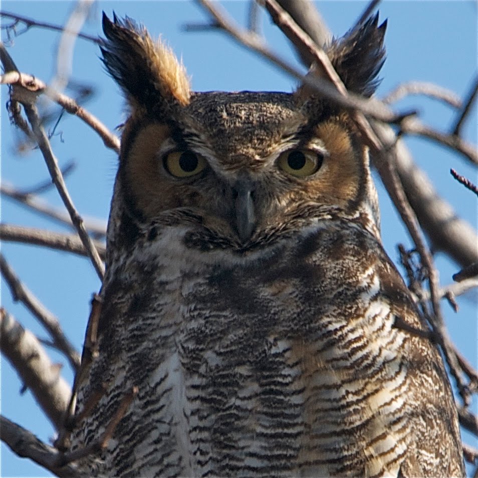 You Are Getting Very Sleepy