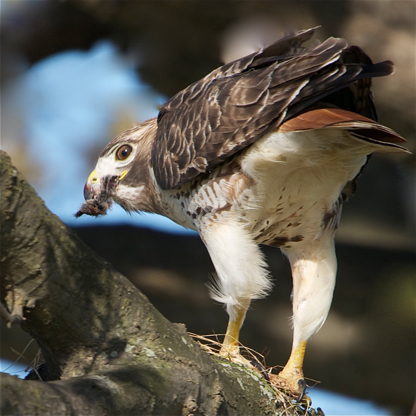 Caught Me With My Mouth Full