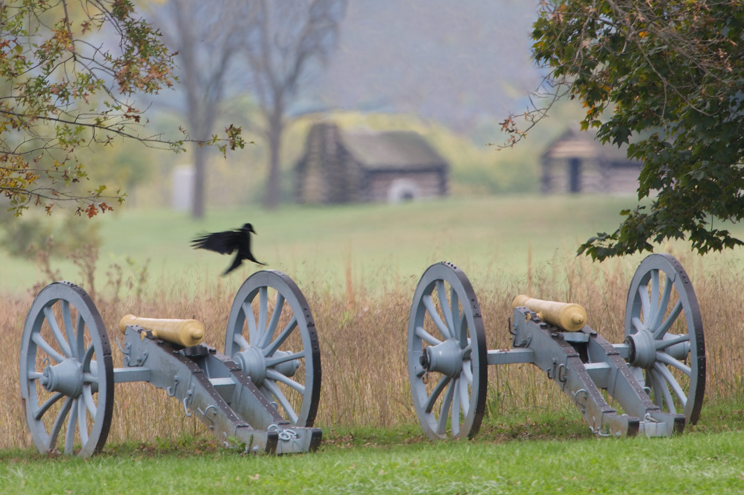 Black Crow at Valley Forge