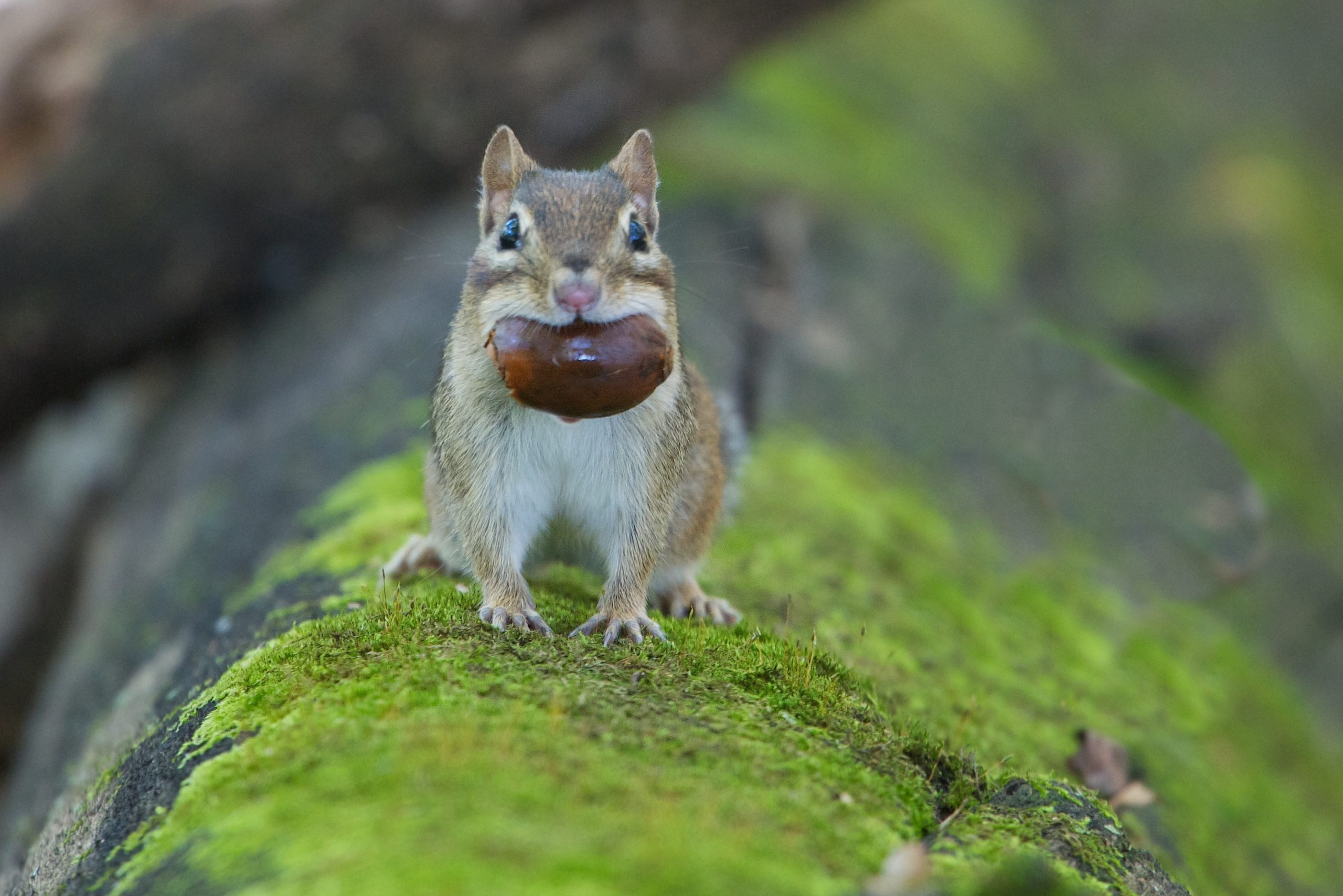 Now That’s a Mouthful!