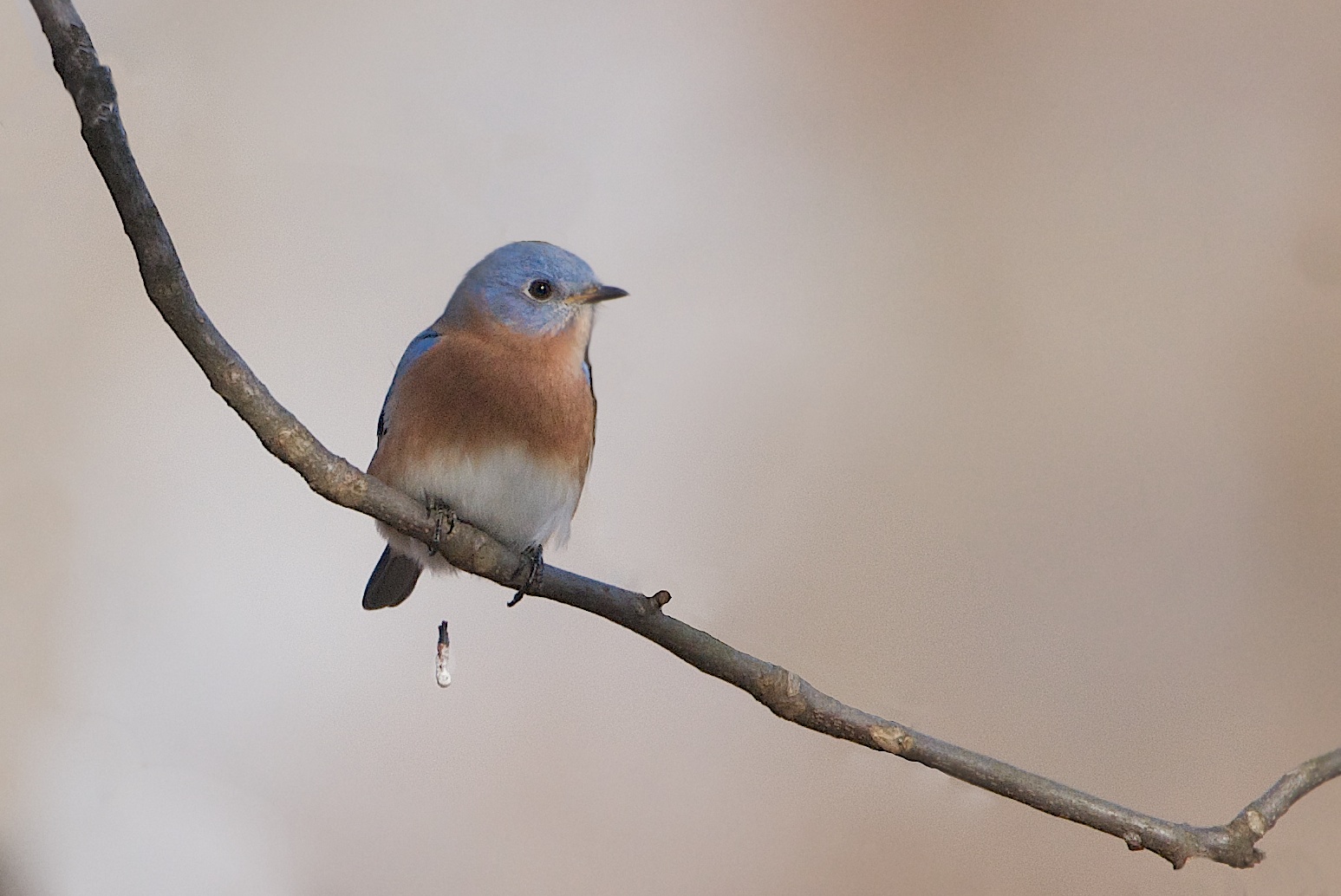 A Little Bathroom Humor