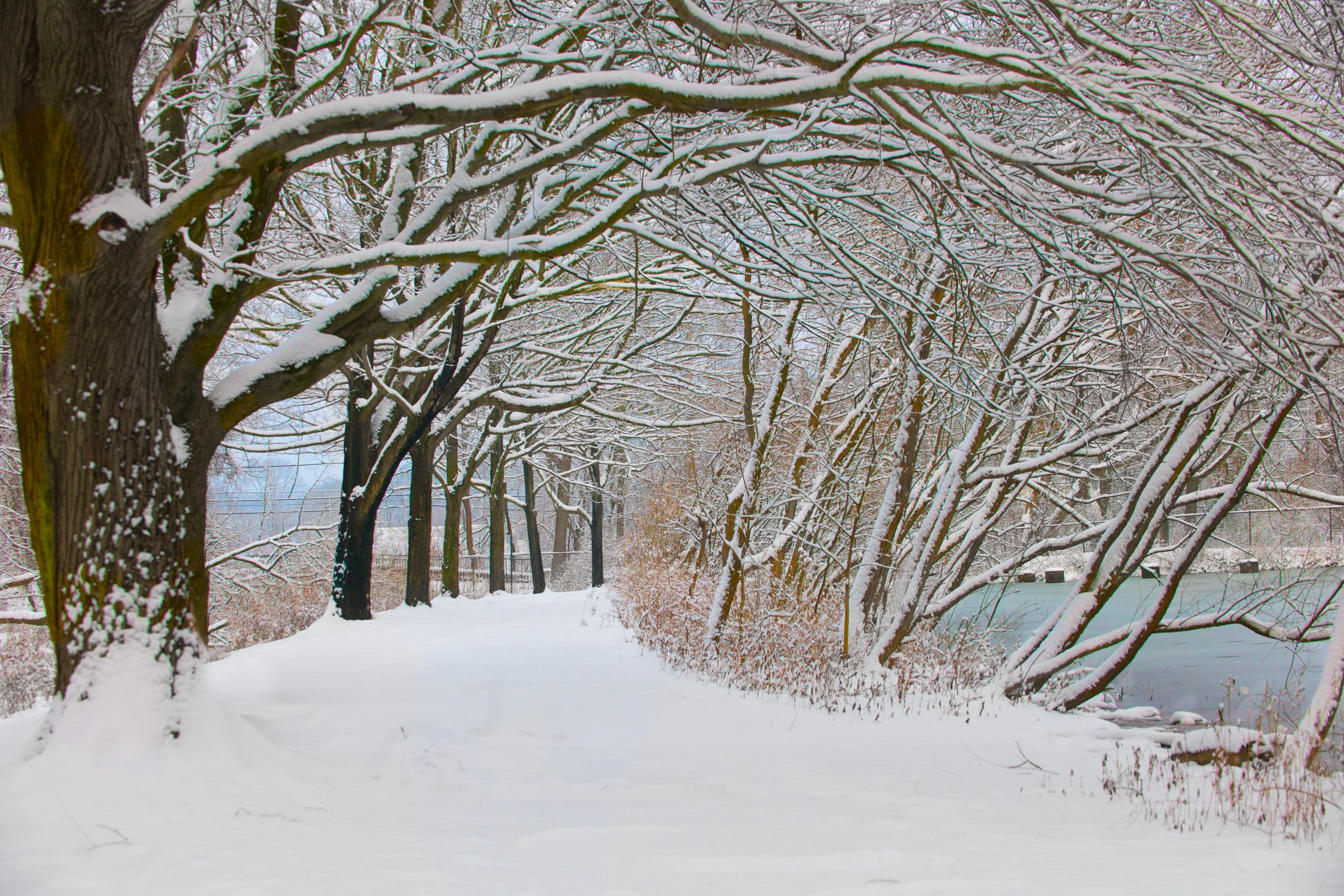 Eastern College Pond Today in the Snow