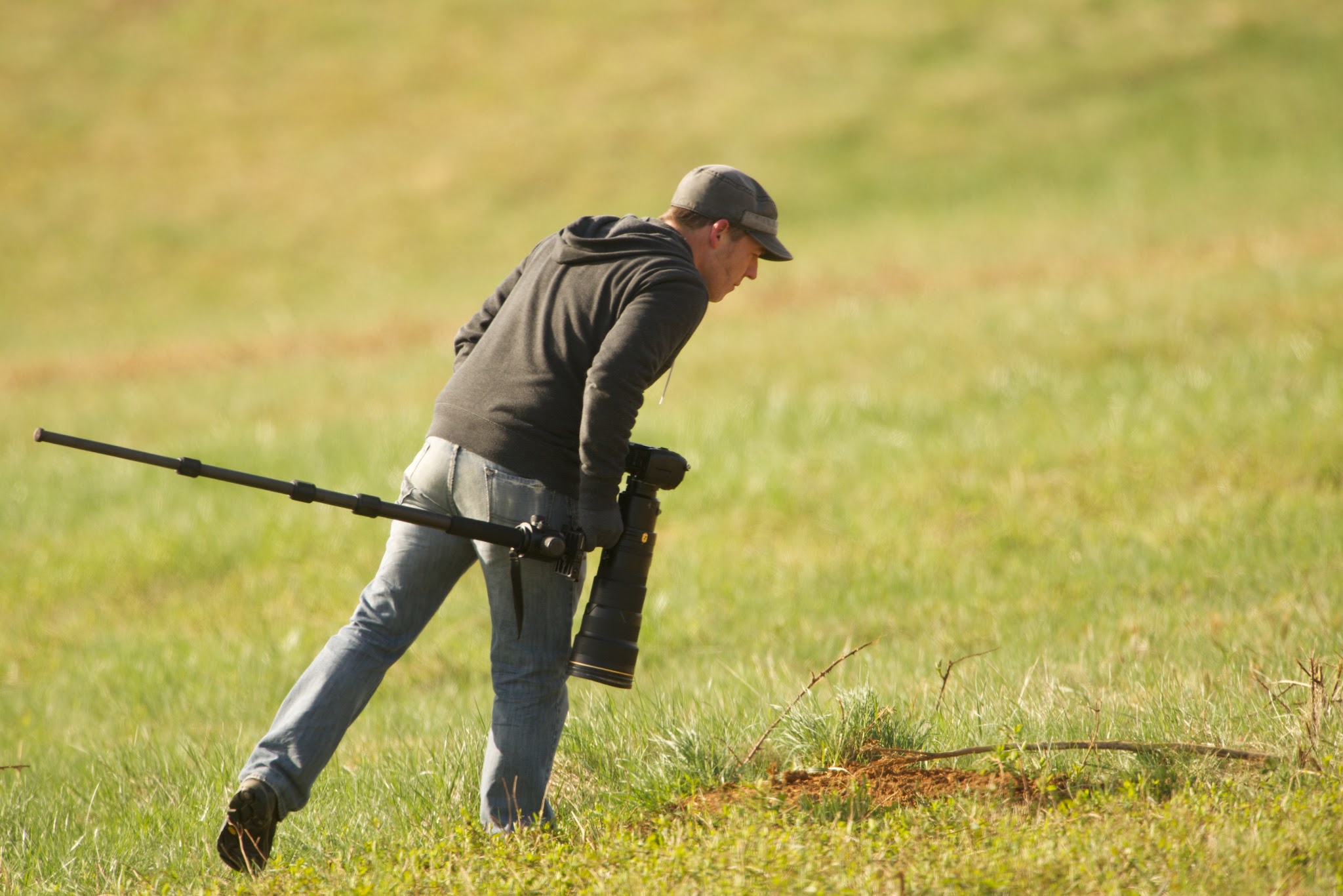 Christian Hunold Looking for Foxes, etc.