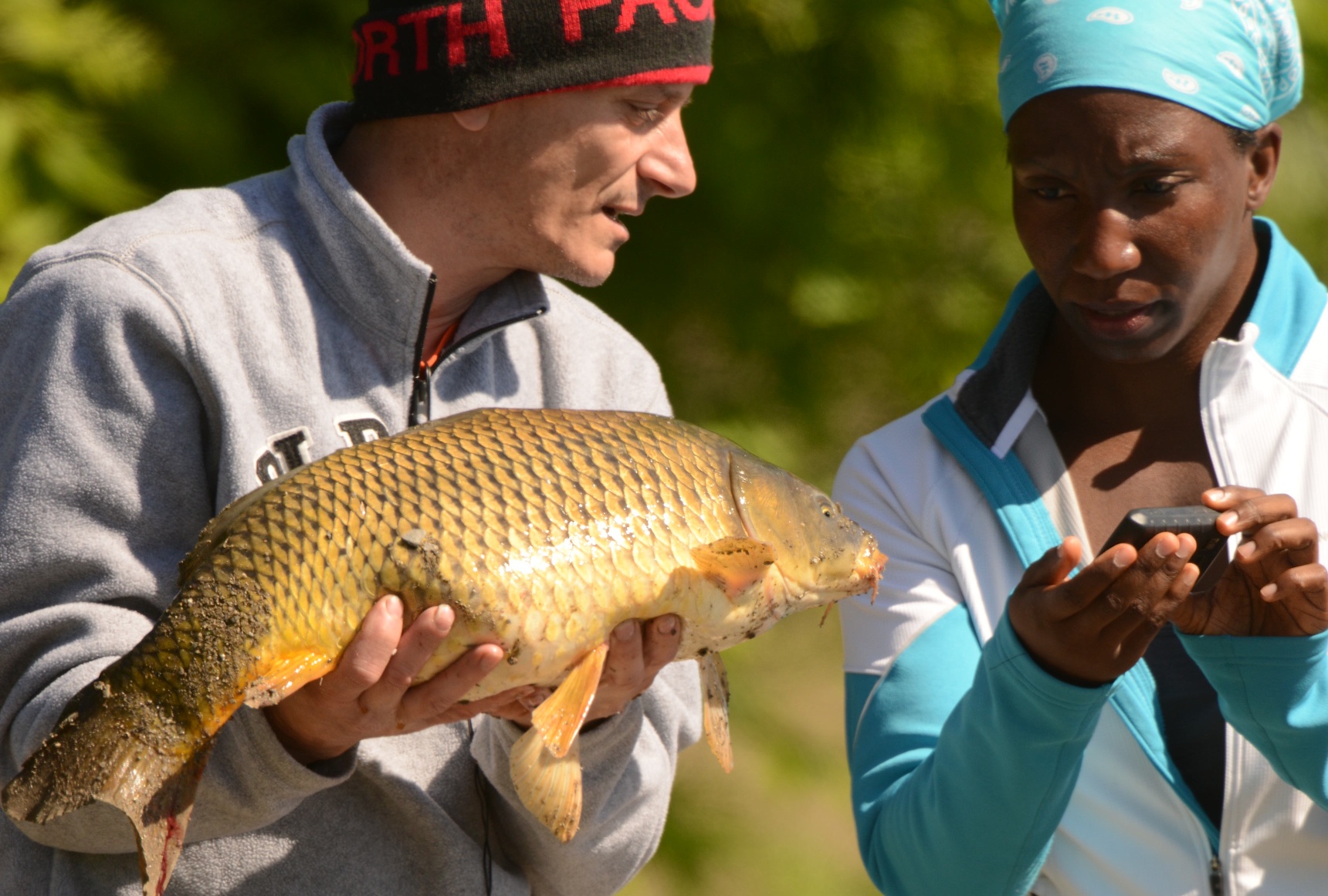 Carp Reviews Picture in Cell Phone (Click for Better View)