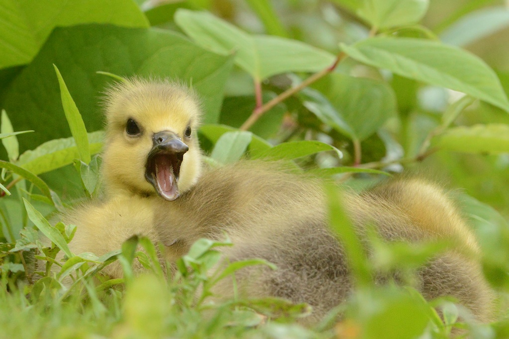 Will You Please Put That Camera Away!