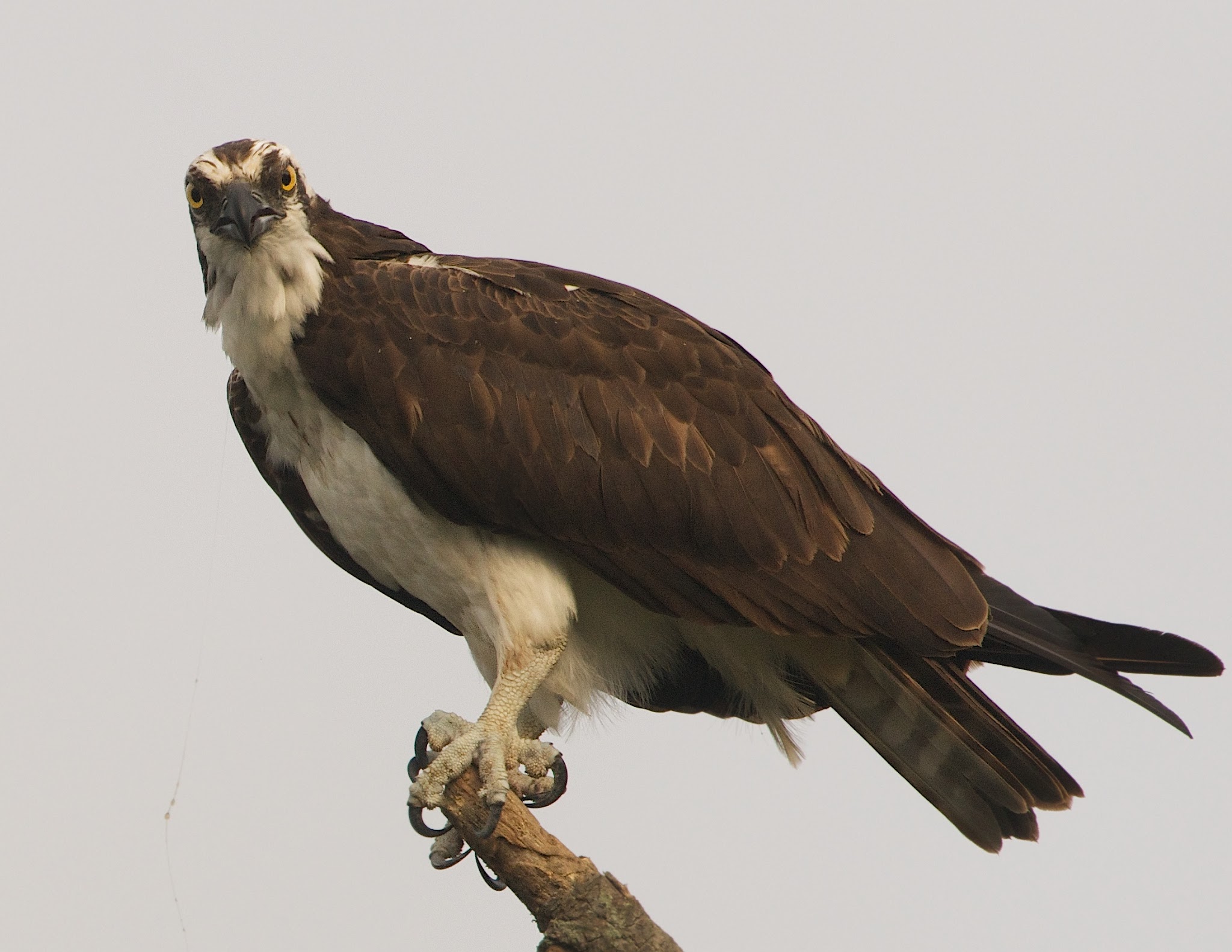 I’ve Had Just About Enough of You