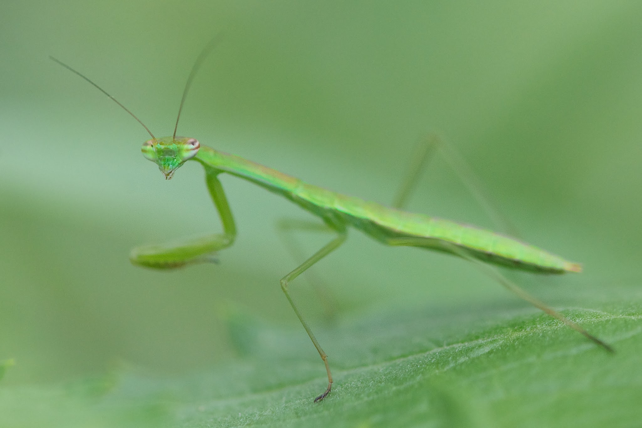 The Babies Just Keep Getting Bigger!!