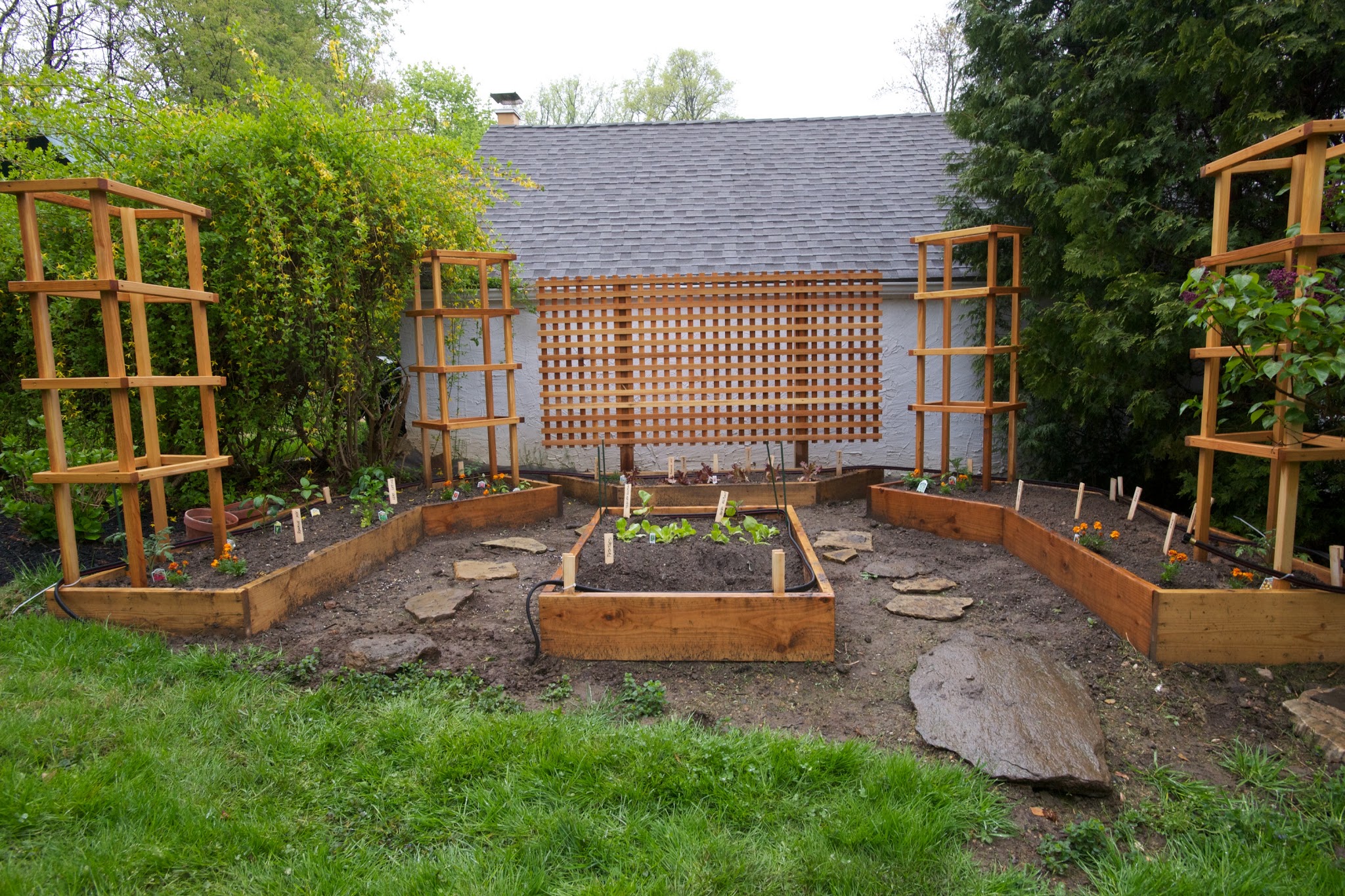 Our Little Raised Bed Garden