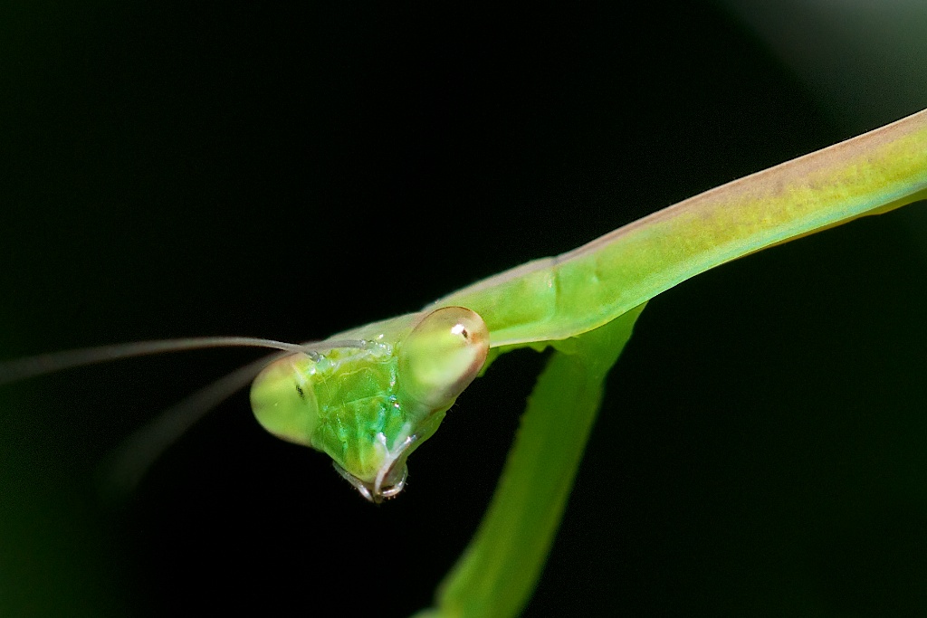 The Babies are Growing!