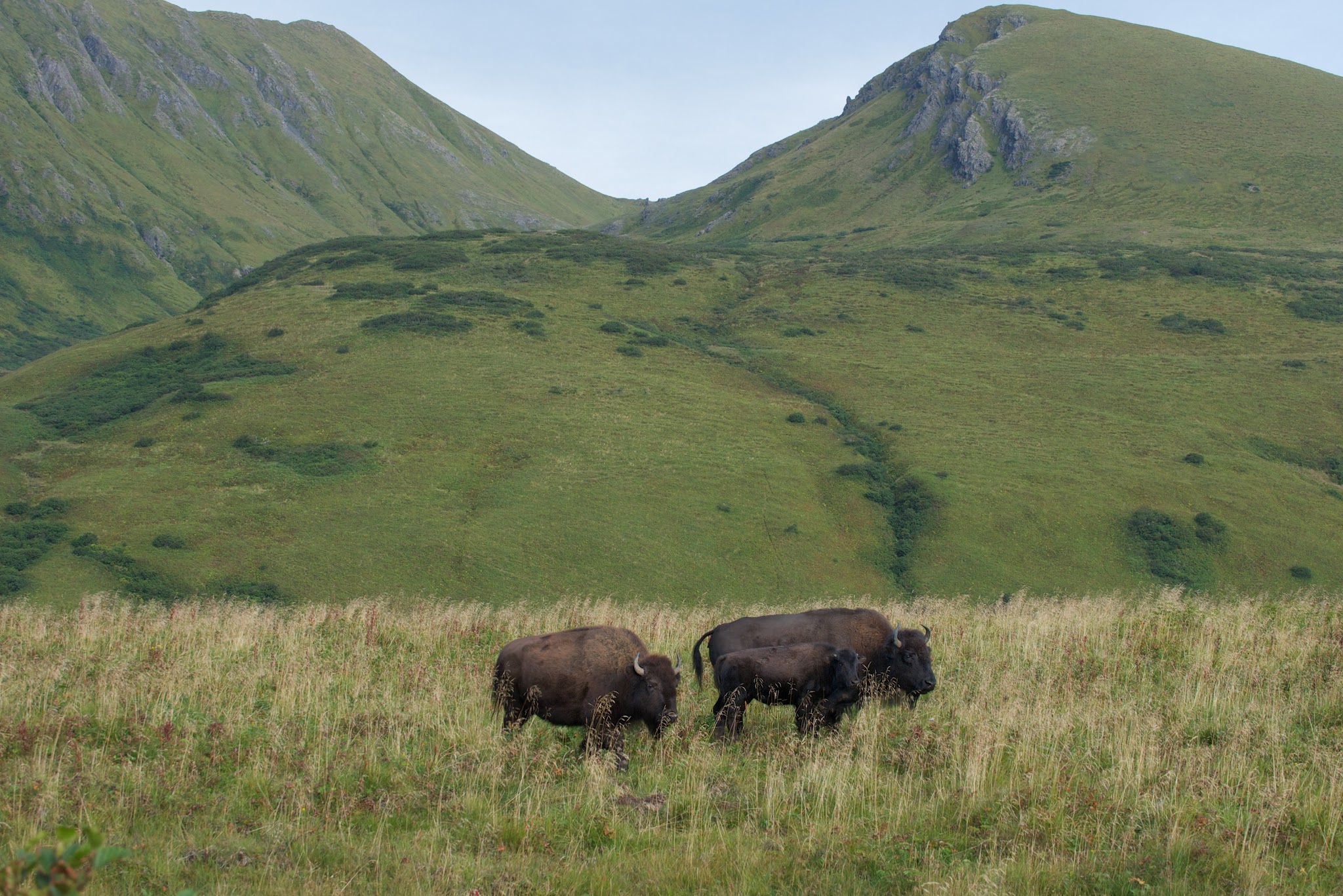 No Internet or Cell Phone – Yikes!!