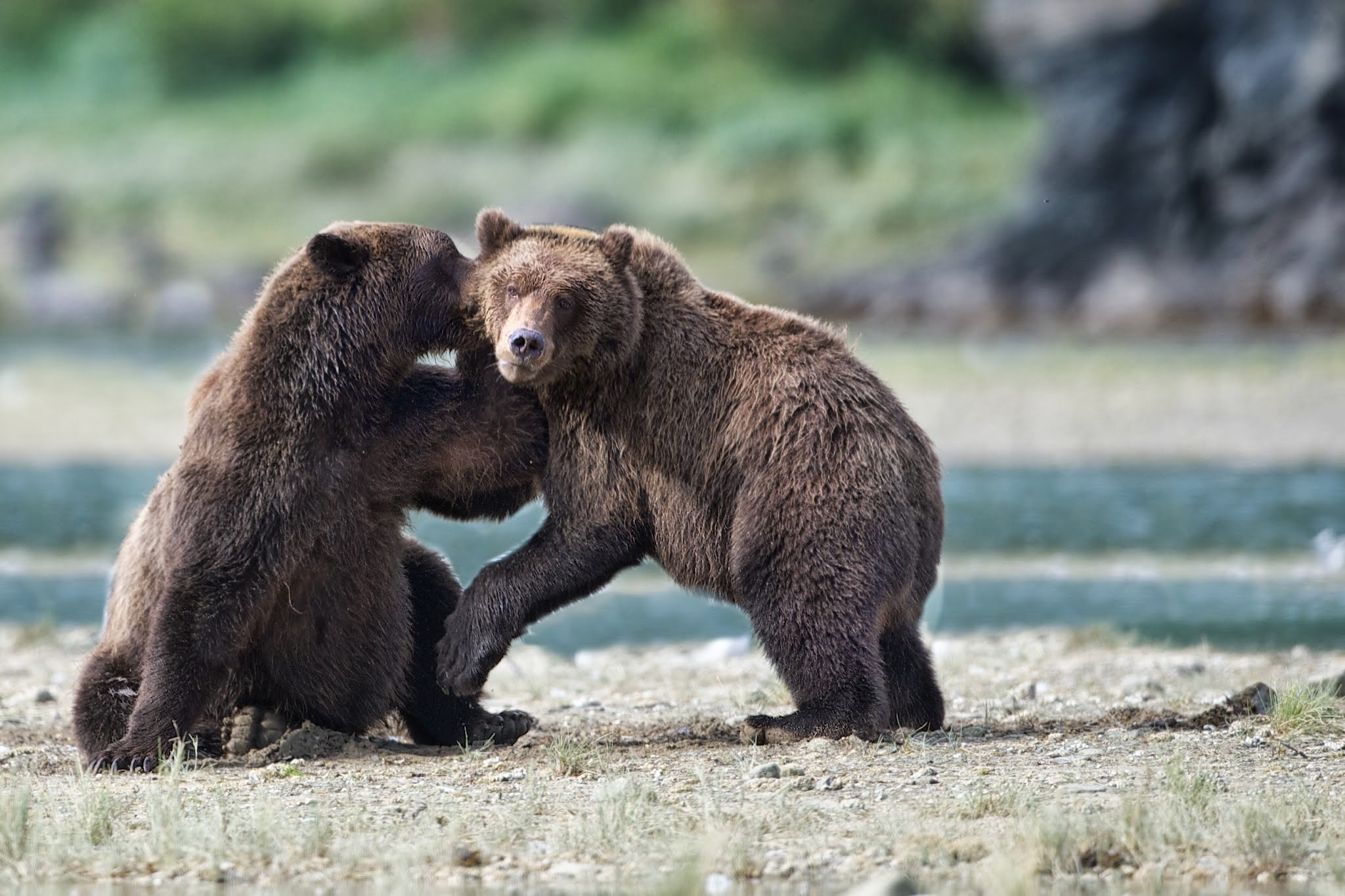 “Pssst – The National Parks are STILL CLOSED!!