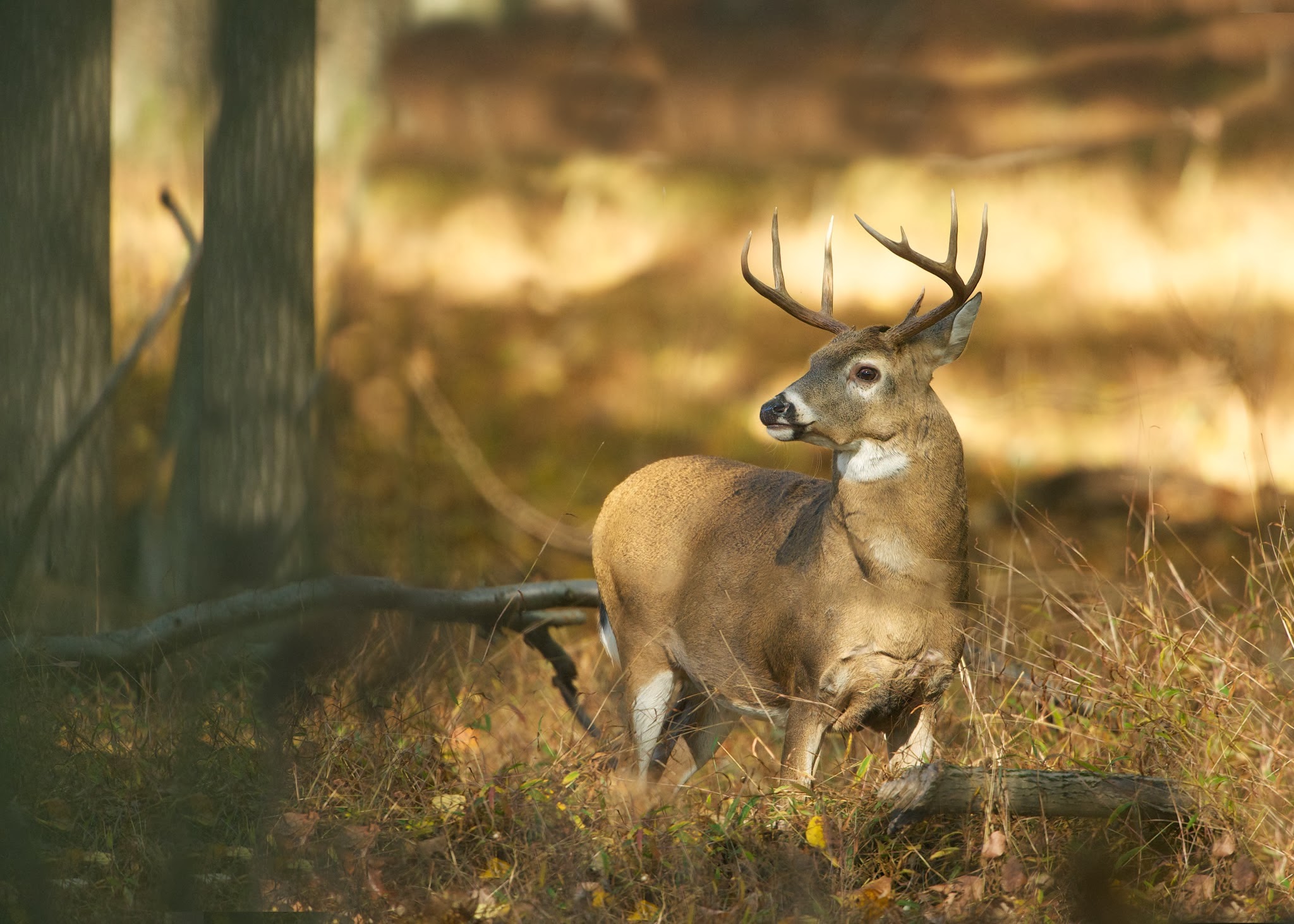 Valley Forge National Park is Open!!!