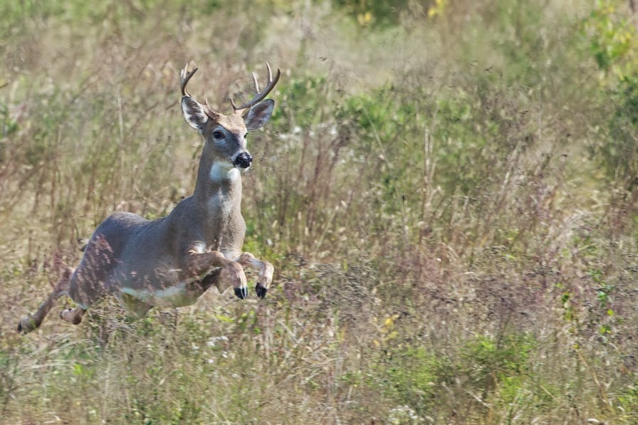 I Defied Congress and Snuck Into Valley Forge Today