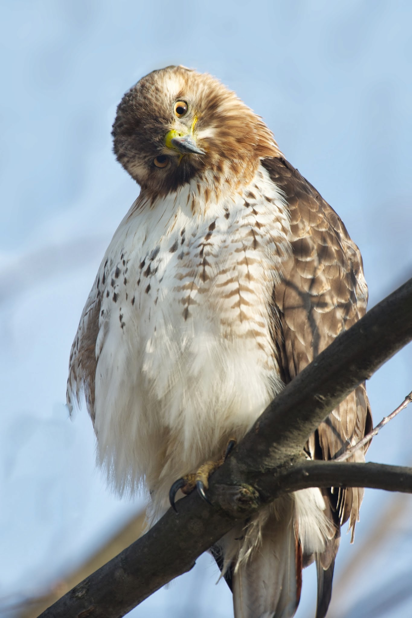 Are You Talking to Me?