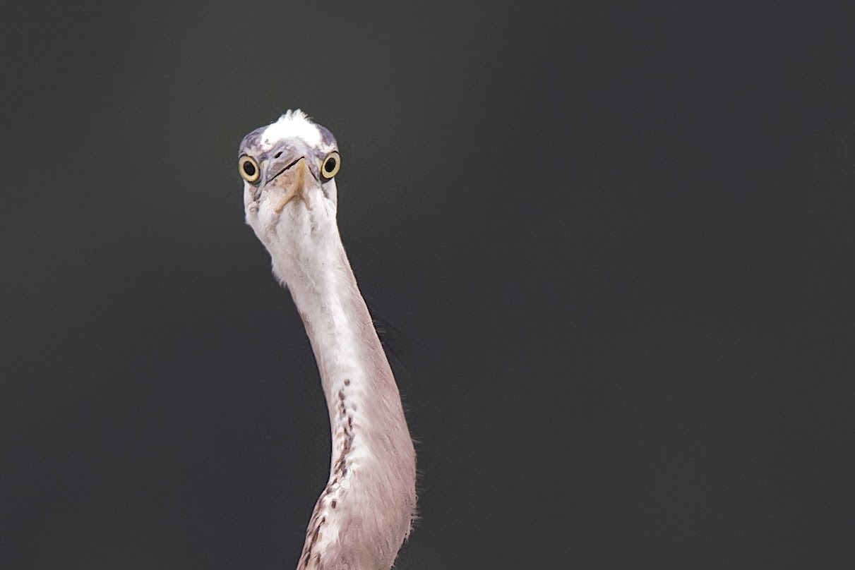 Wonderful Rainy Day at John Heinz