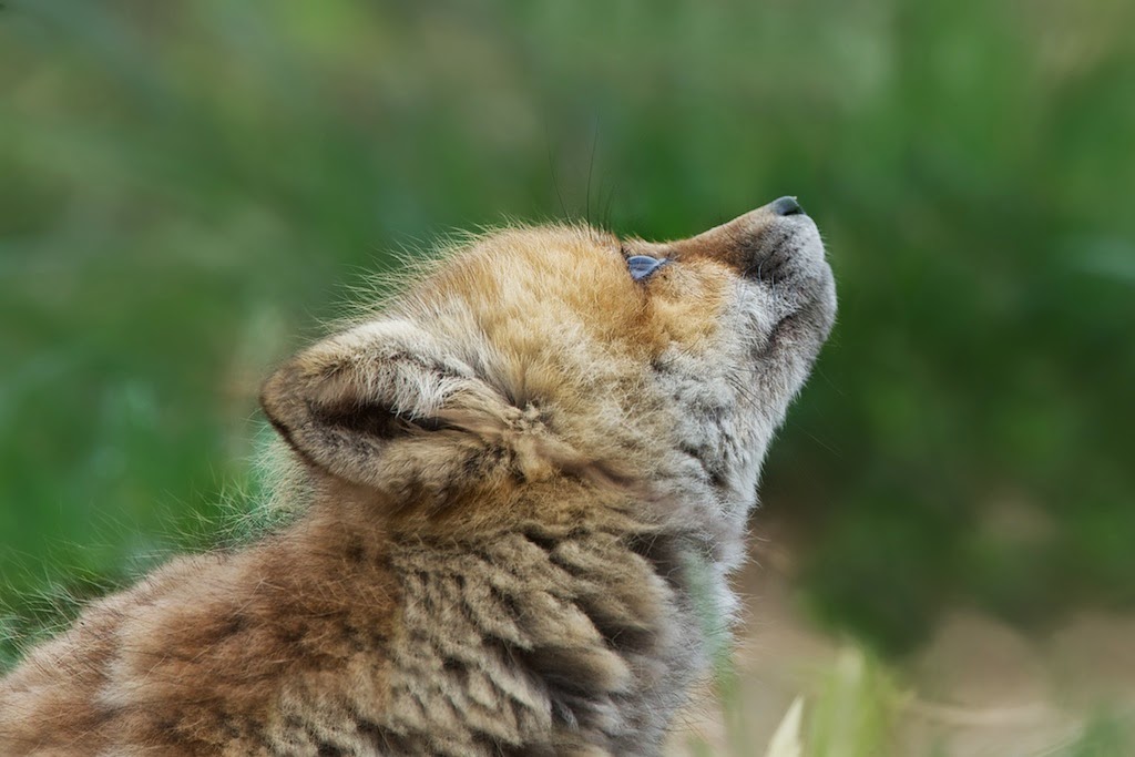 When in Doubt – Look Up