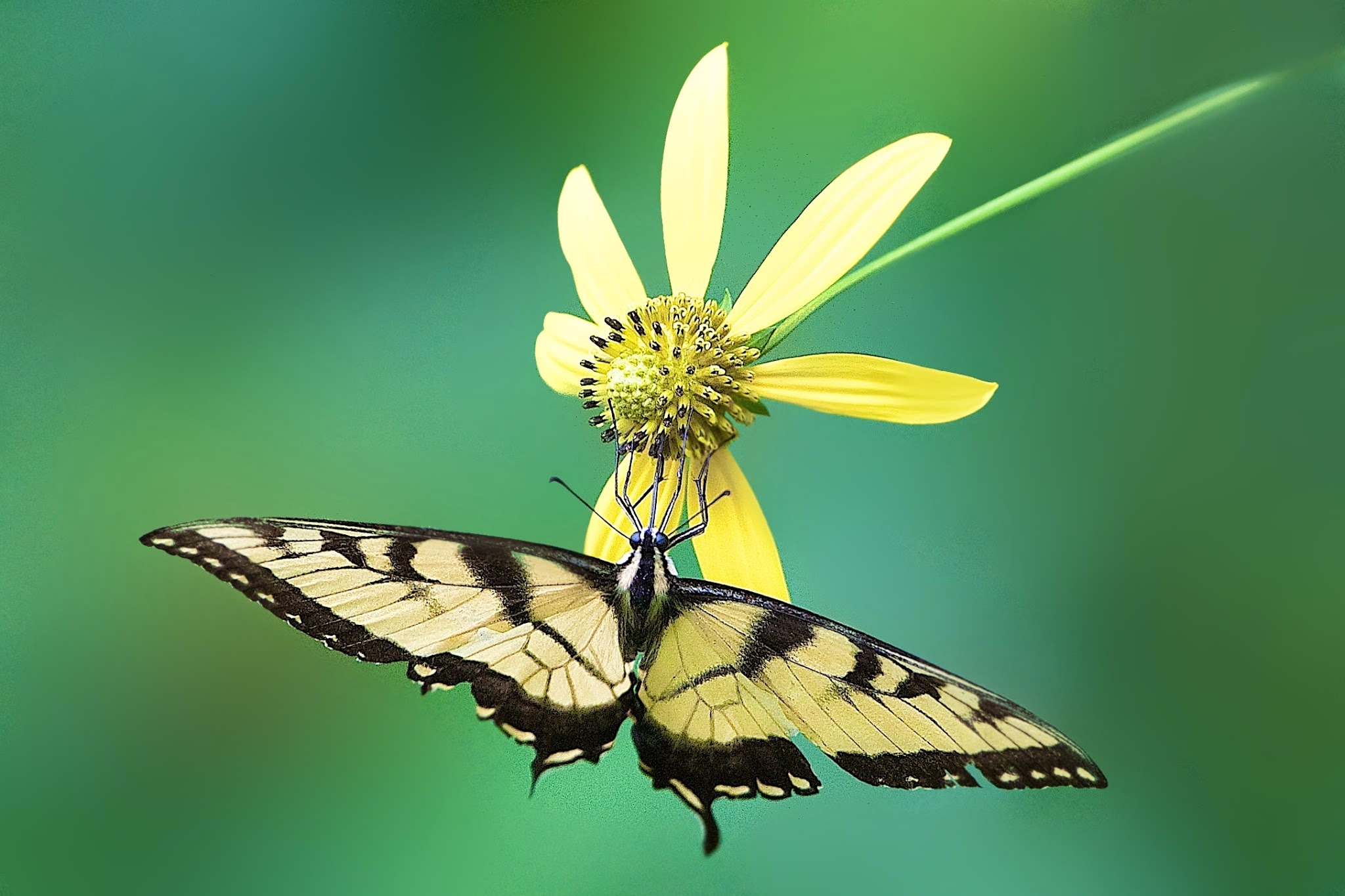 It’s Back to the U.S. of A. (until I edit a few more from Tanzania)