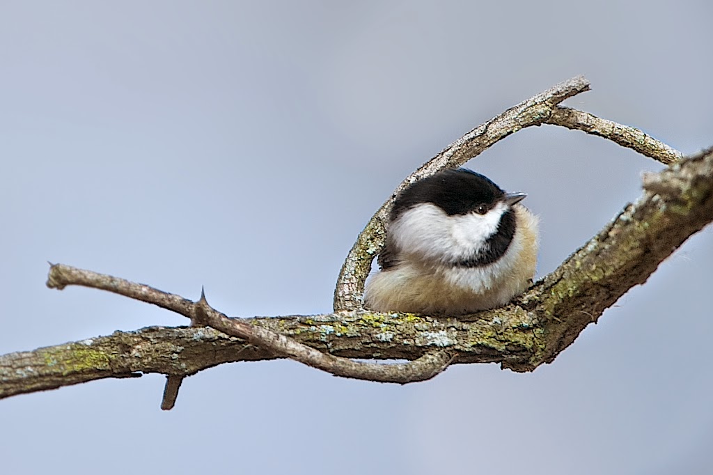 My Little Hiding Place