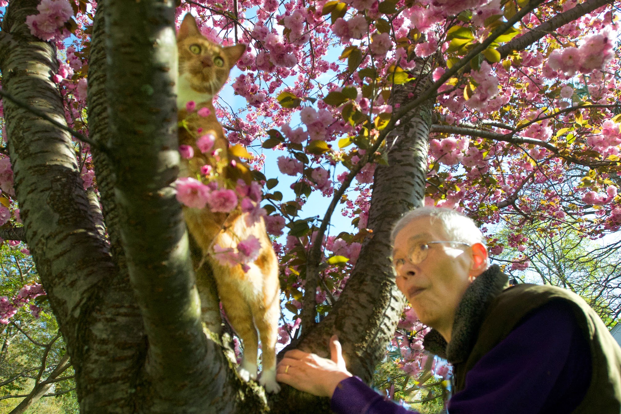 Wildlife at 470 Glenmary Lane