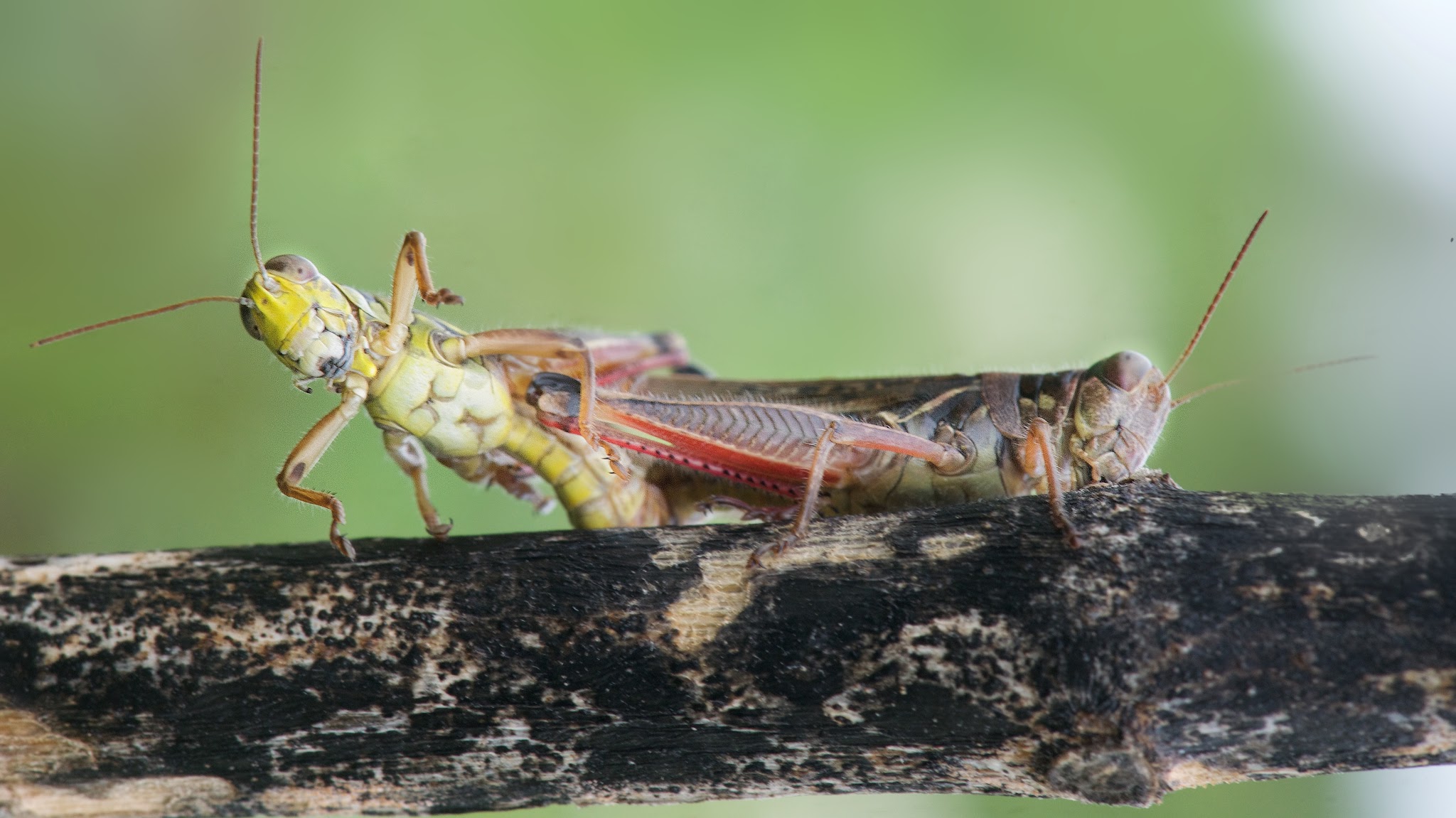 Would Ya Mind! We’d Like a Little Privacy