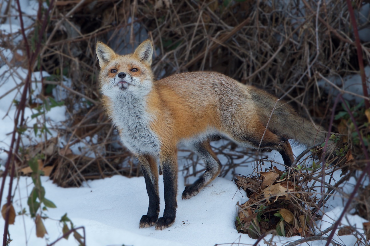 I Think I Sense a Photographer