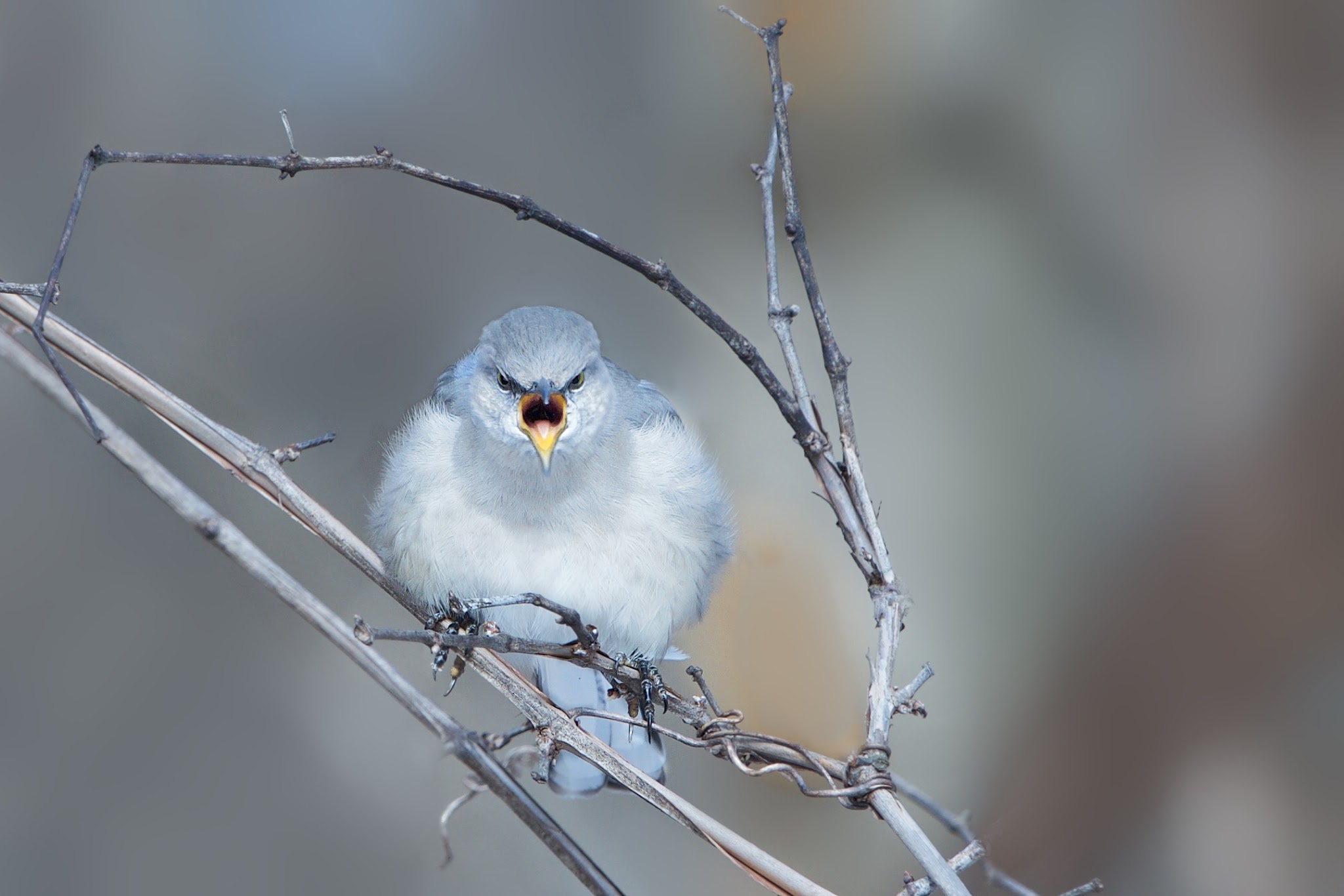 I said, “Put the Camera Away NOW!”