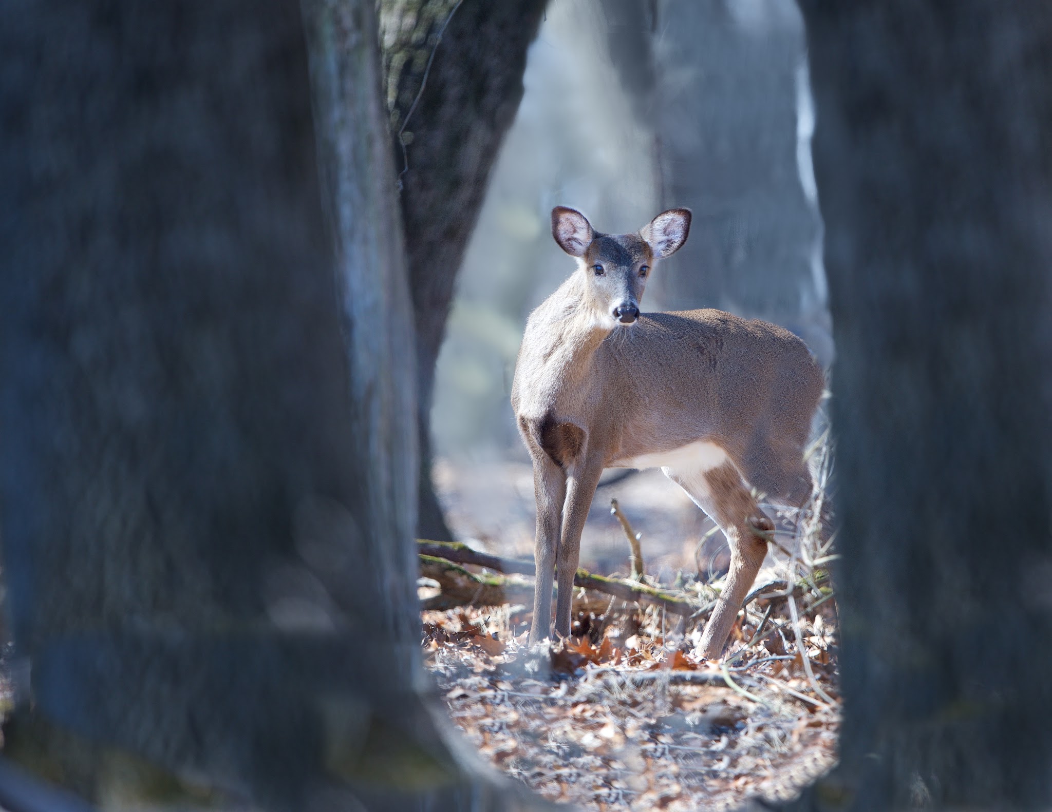 “Hey, You Stalking Me?”