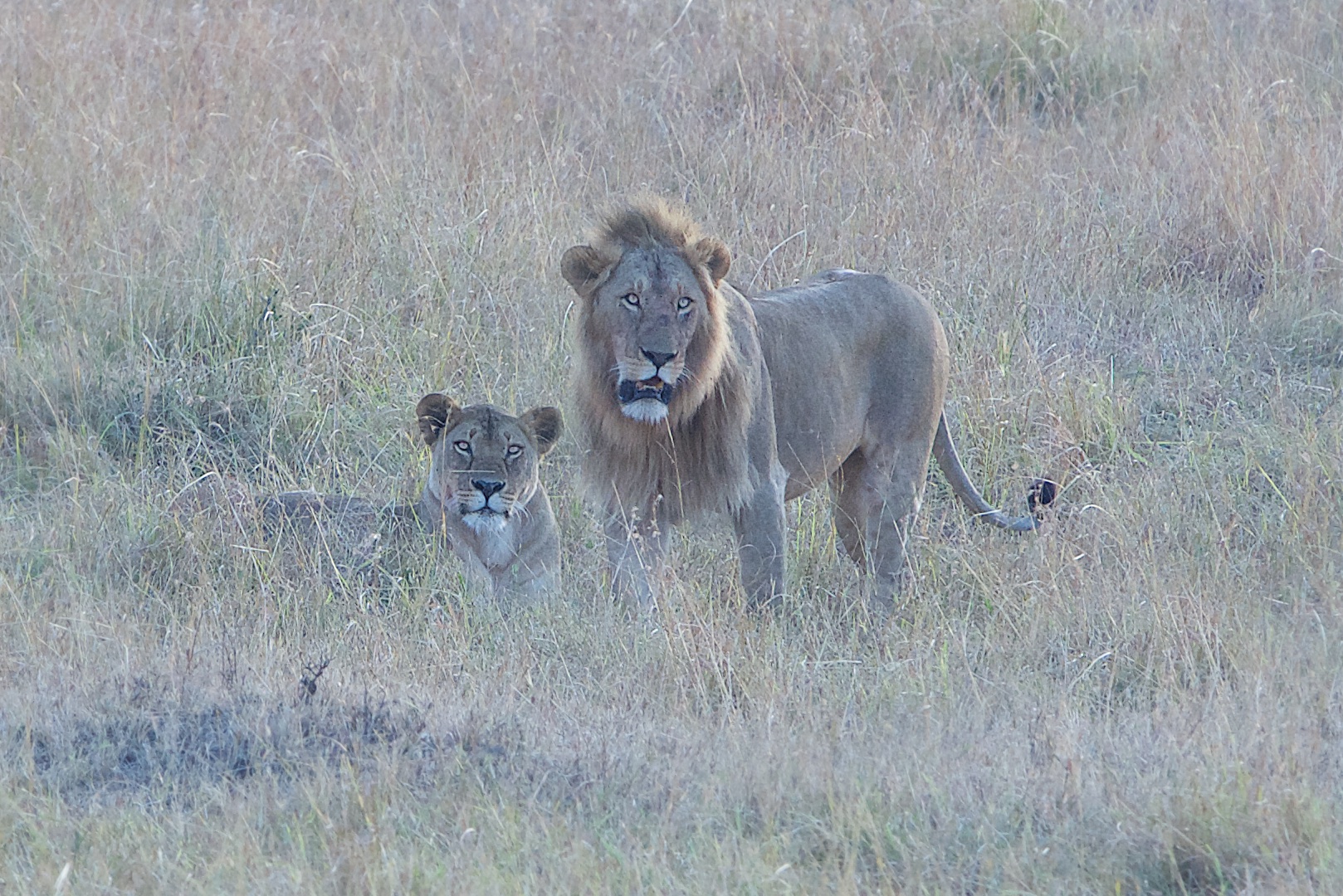 We are Headed Home!!!!